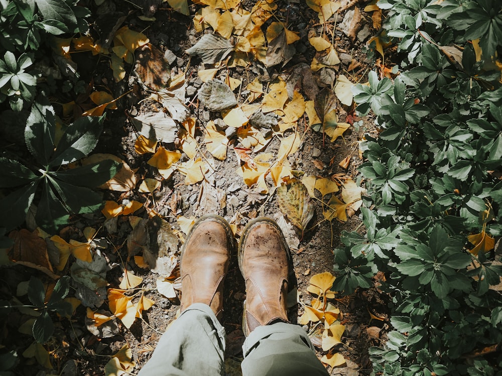 a person standing on a leaf covered ground