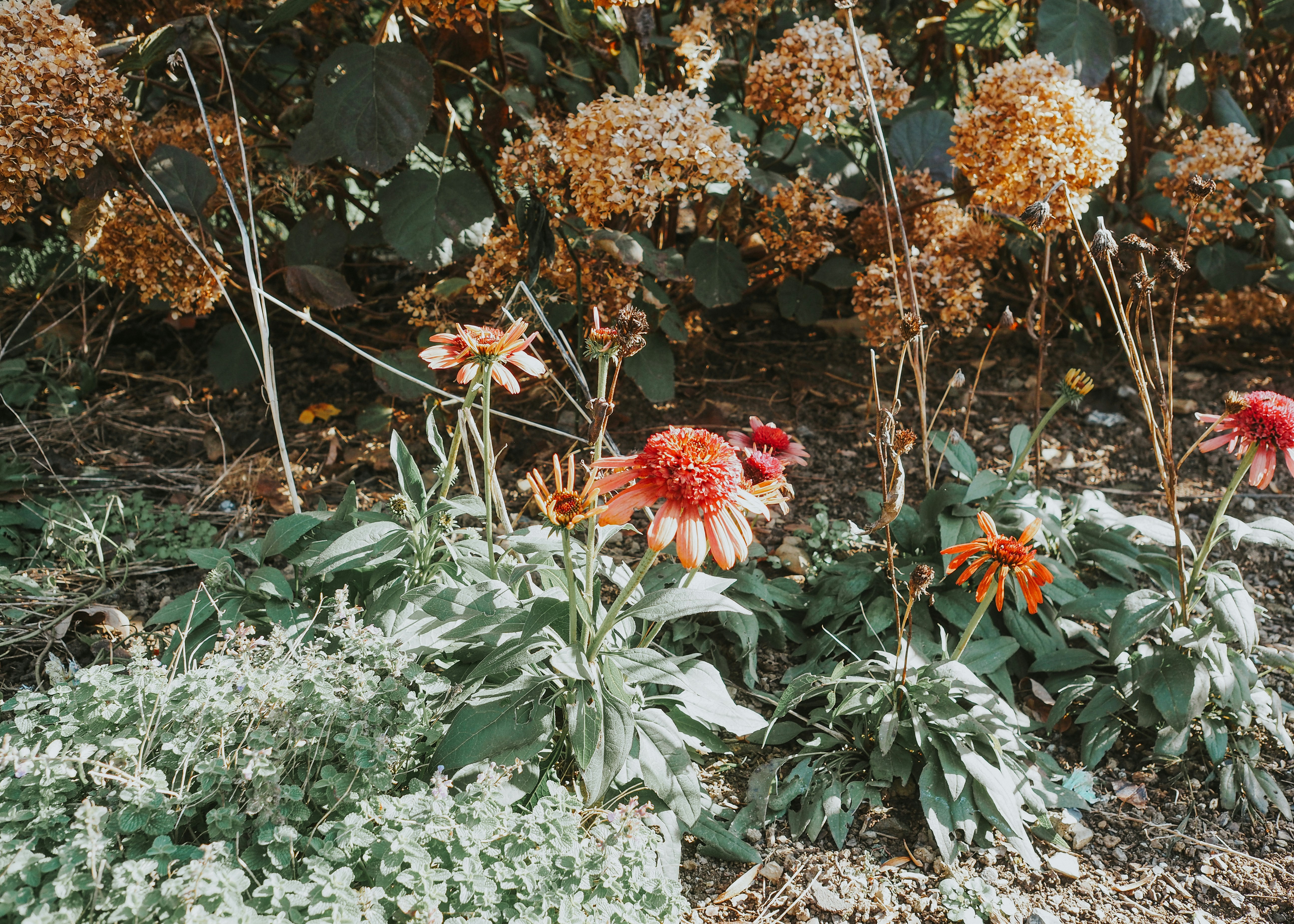 Northeast: Four-Season Drama (image credits: unsplash)