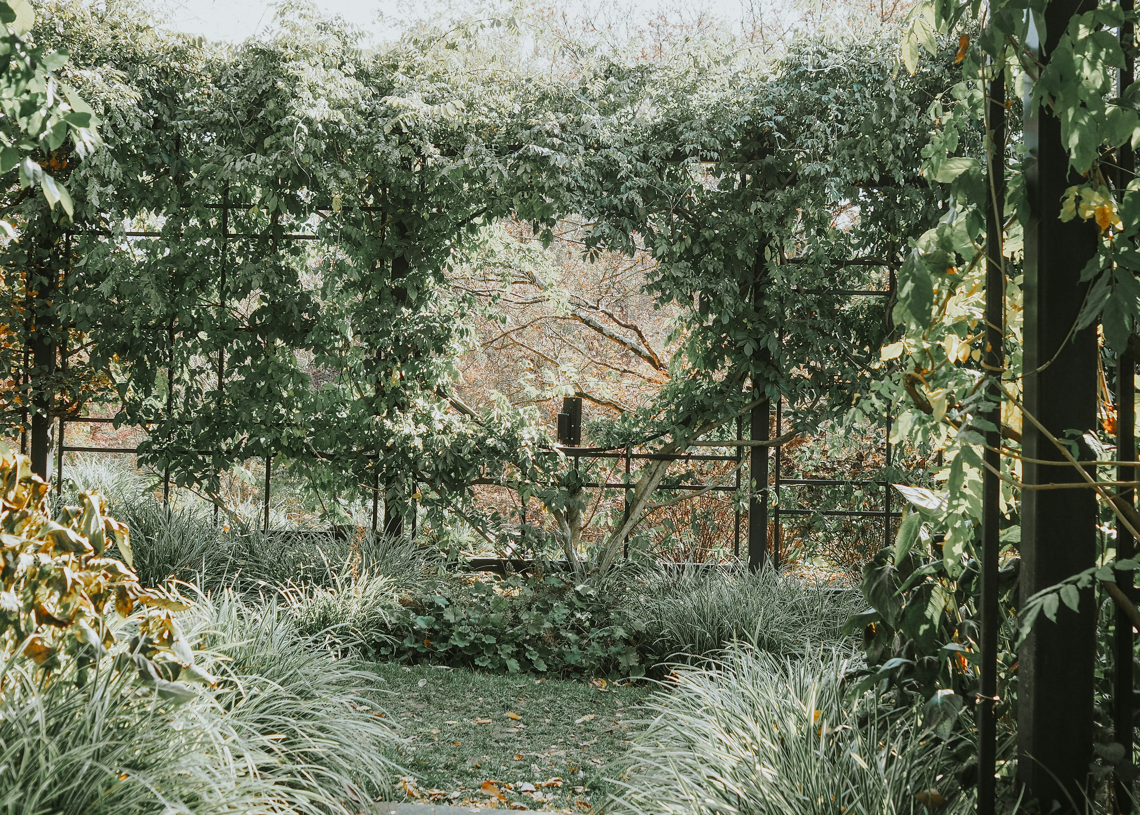 Photo by fieldworkframes