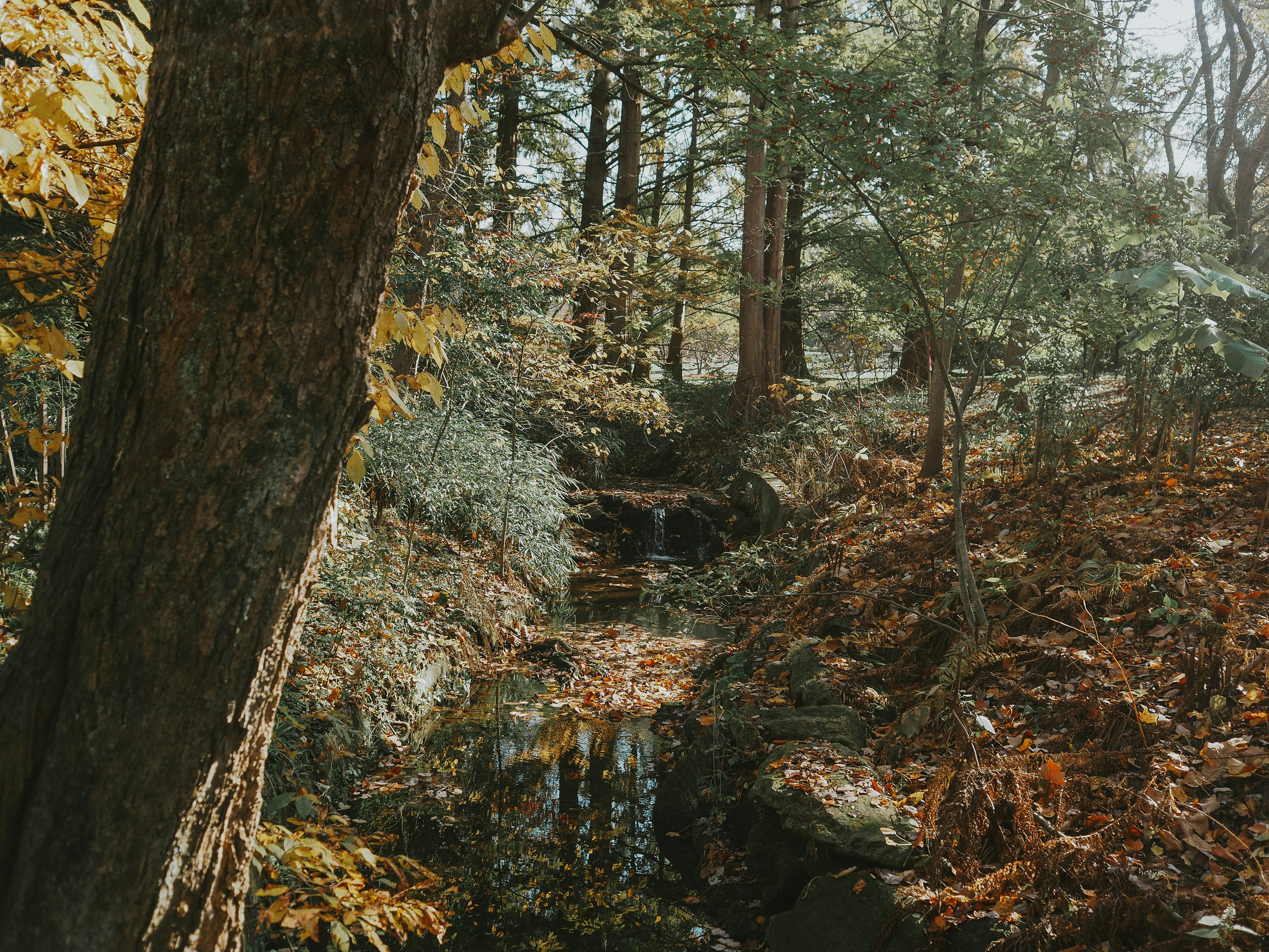 Photo by fieldworkframes