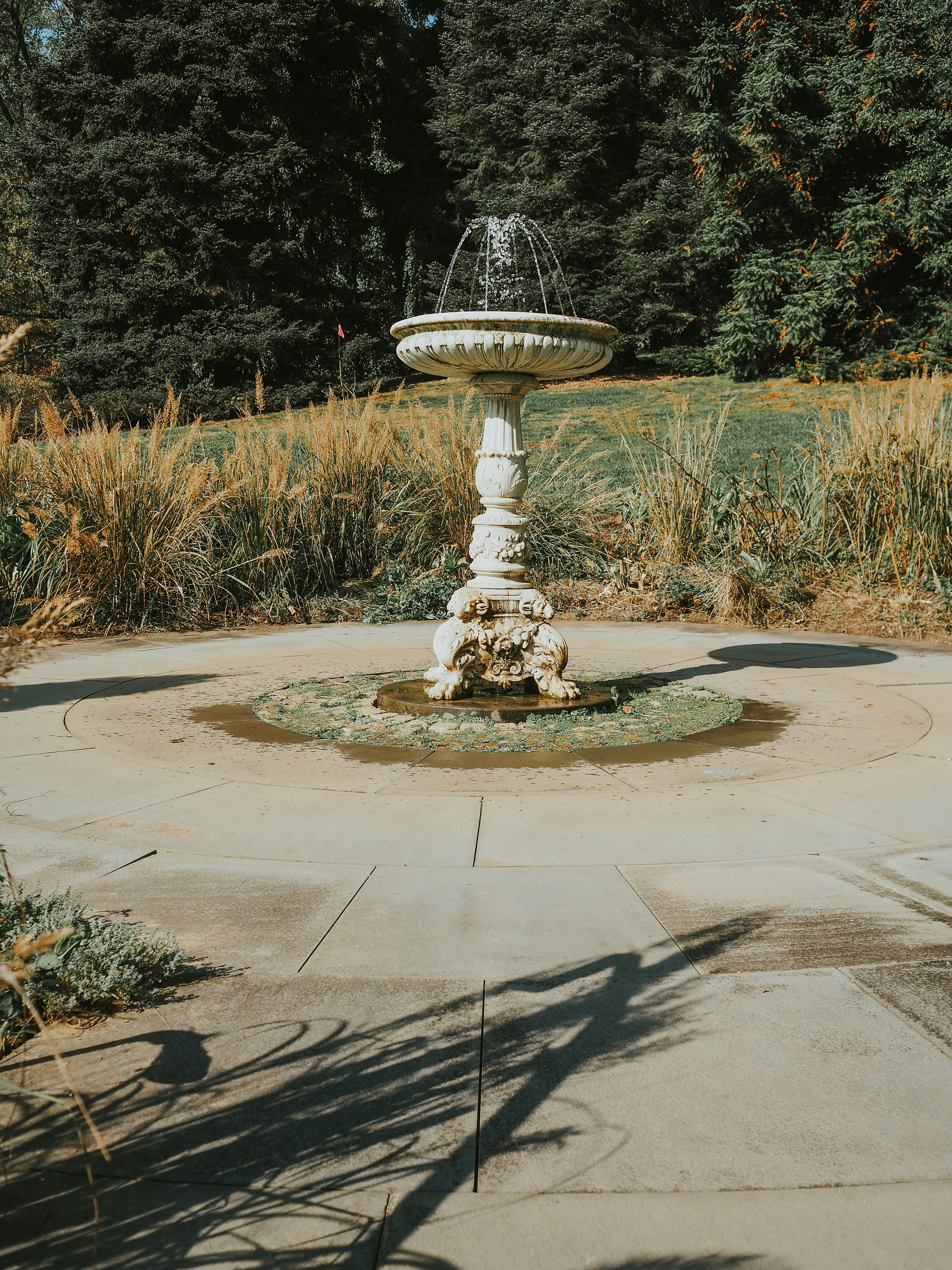 Photo by fieldworkframes