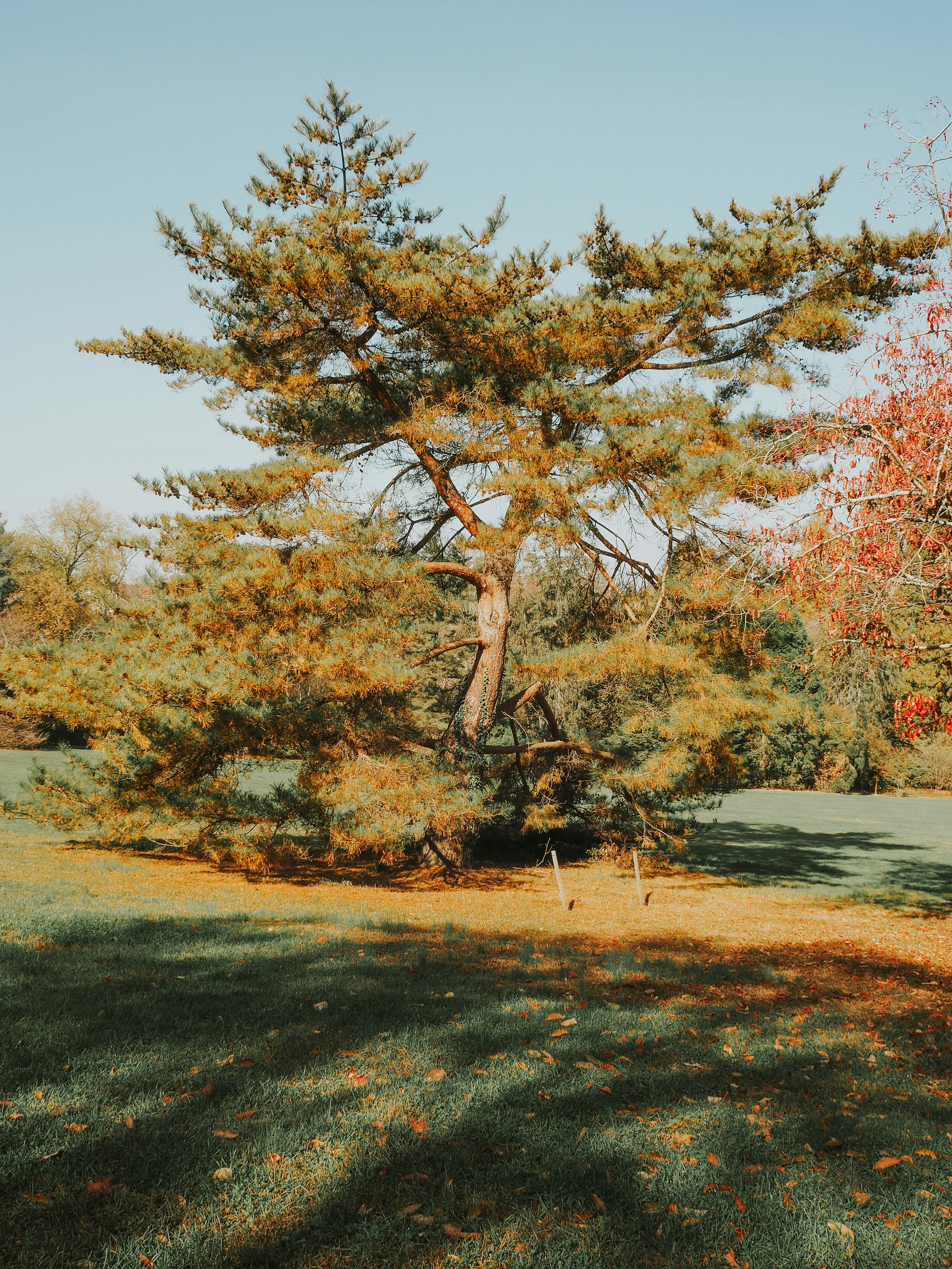 Photo by fieldworkframes