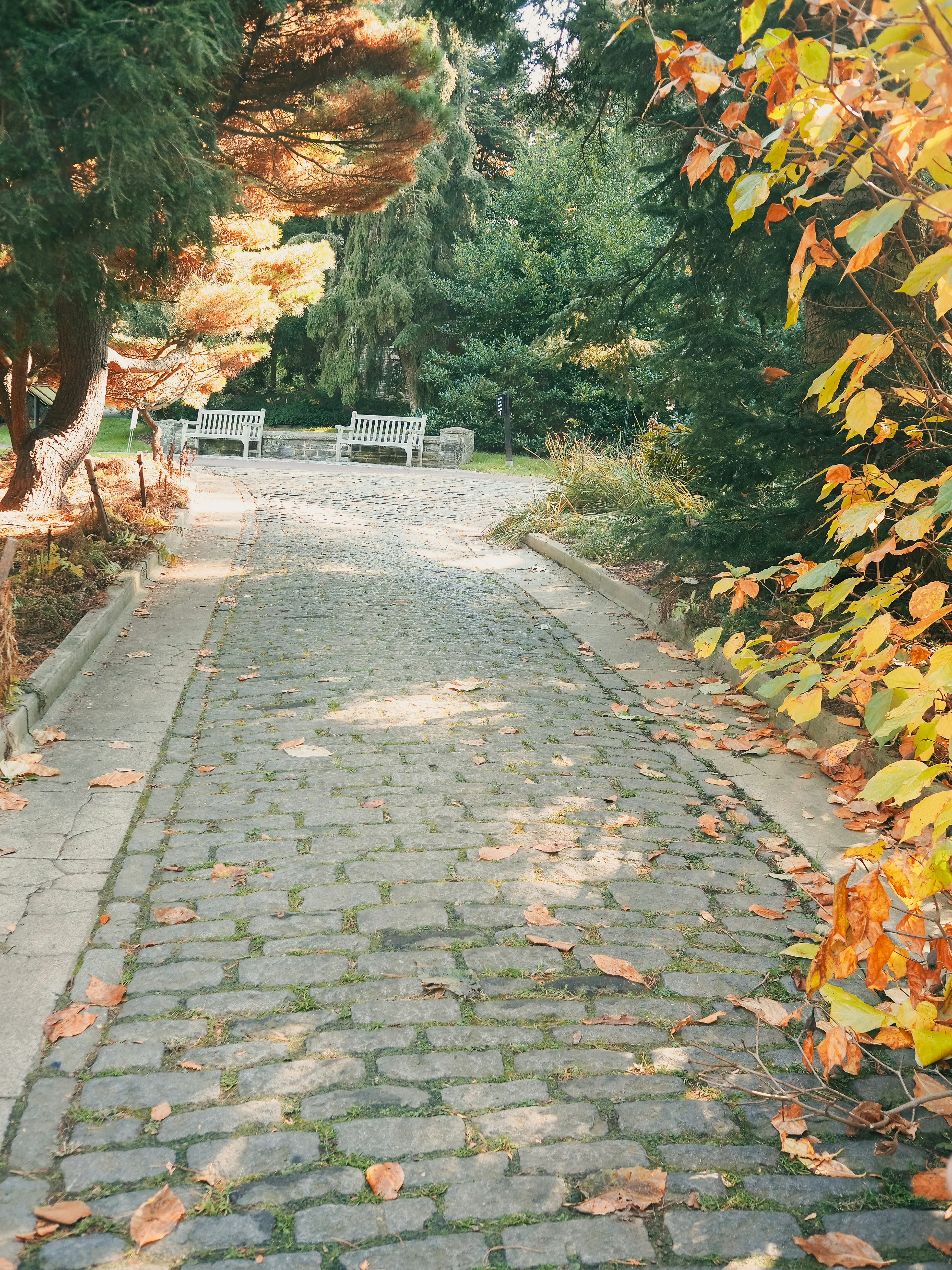 Photo by fieldworkframes