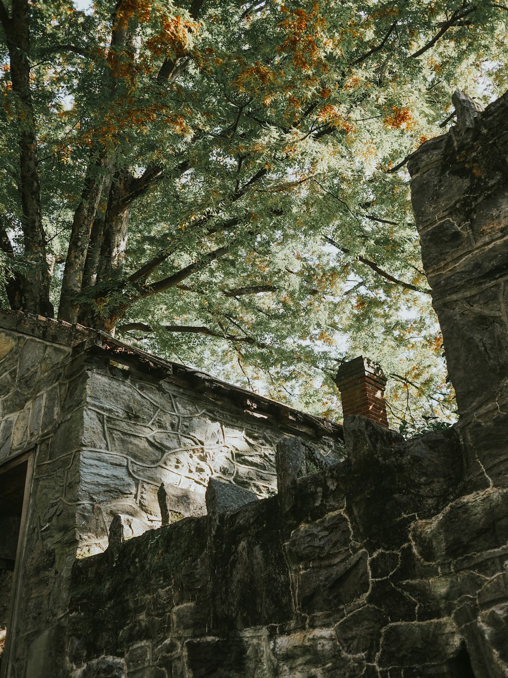 a stone building sitting under a tree next to a forest