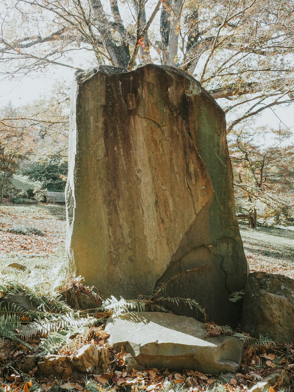 a large rock in the middle of a field