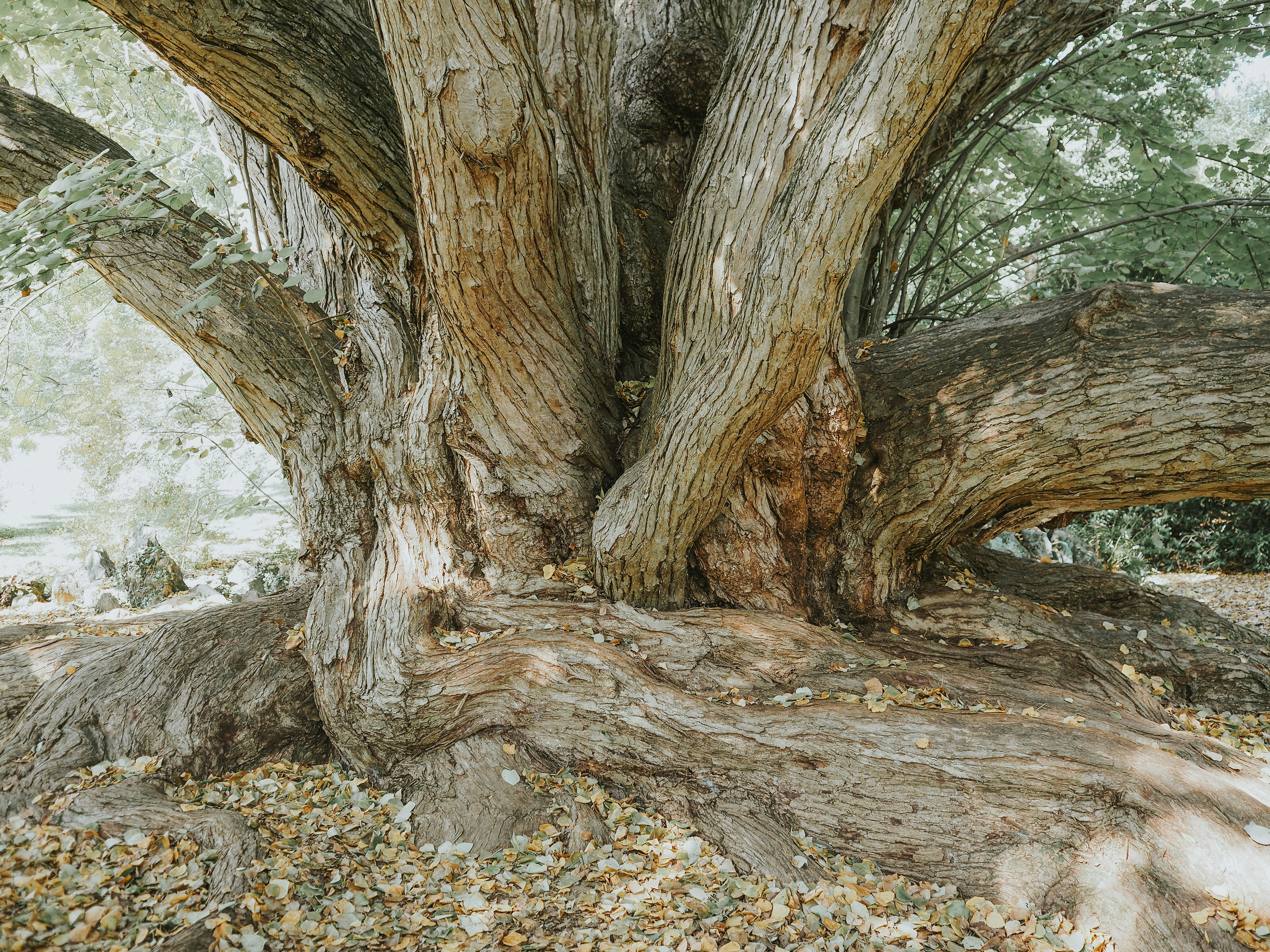 Photo by fieldworkframes