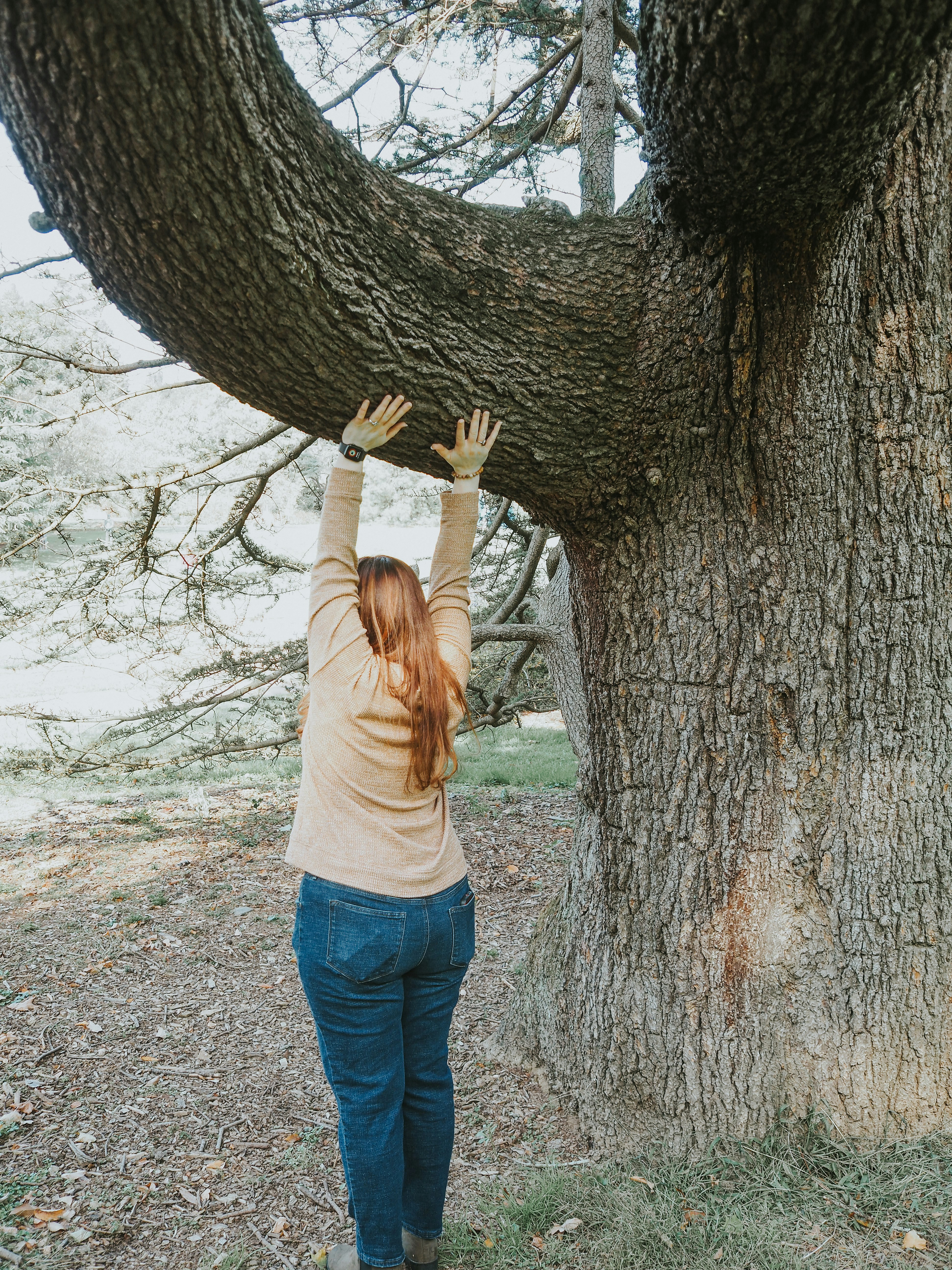 Photo by fieldworkframes