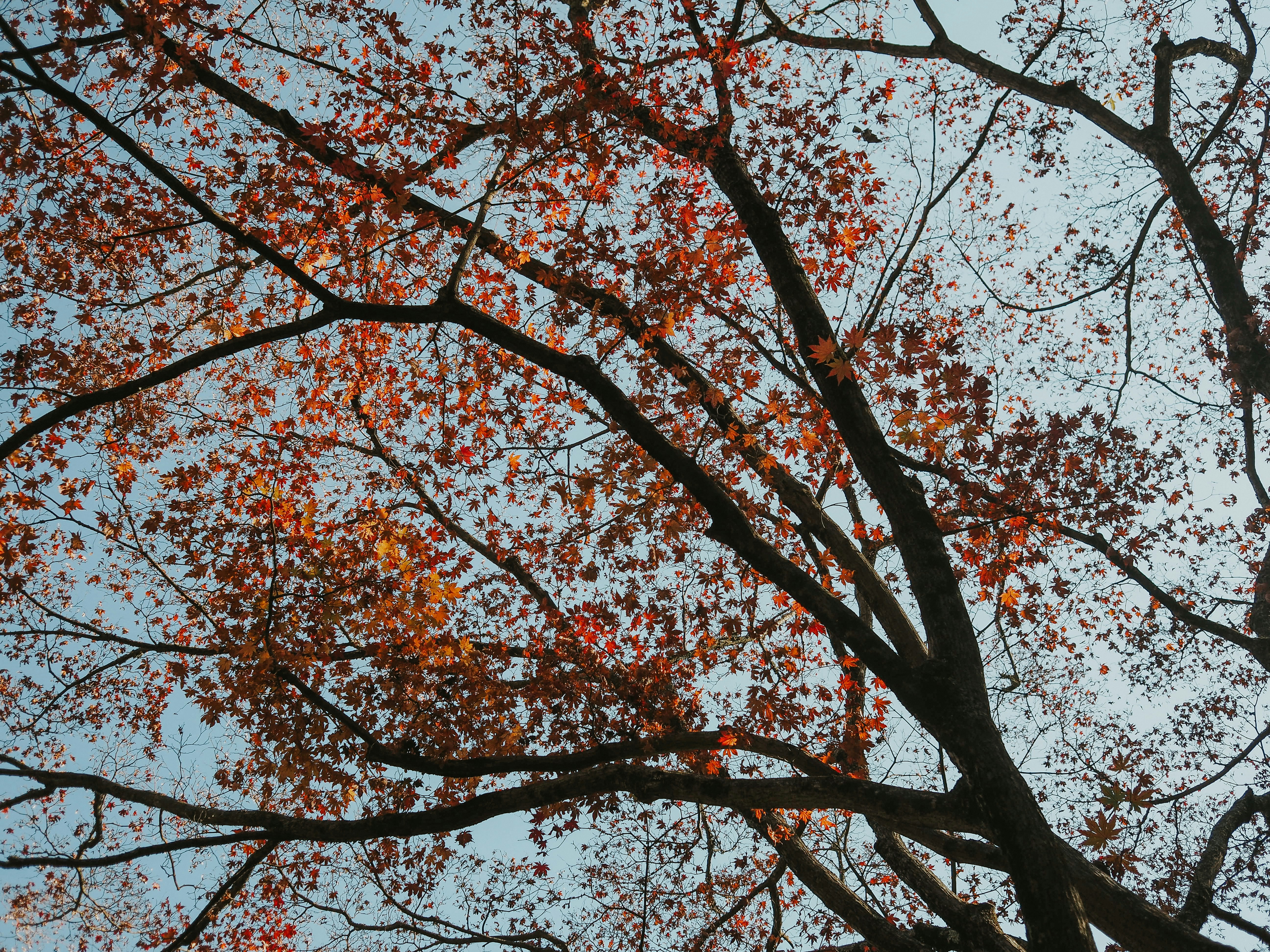 Photo by fieldworkframes