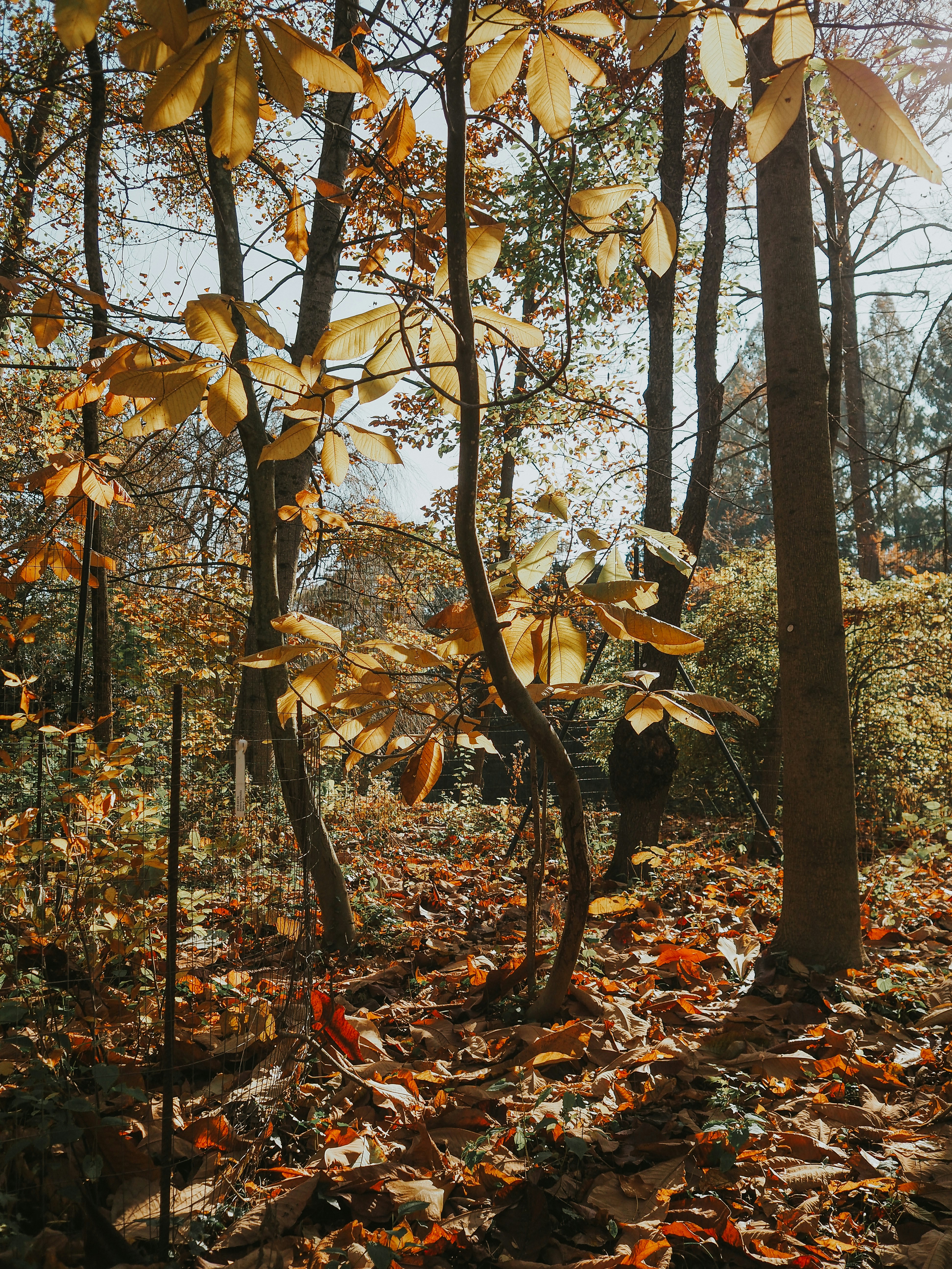 Photo by fieldworkframes