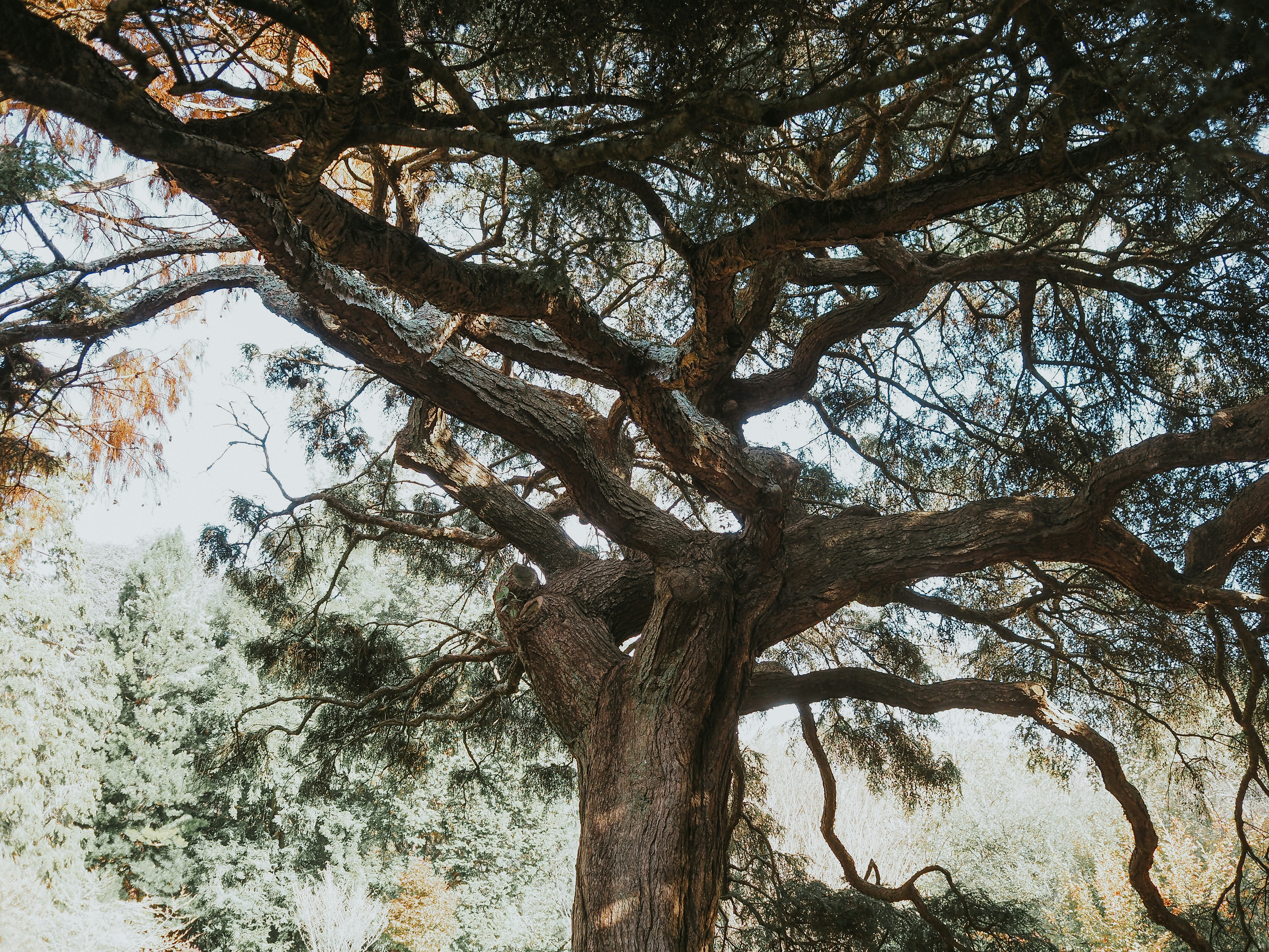 Photo by fieldworkframes