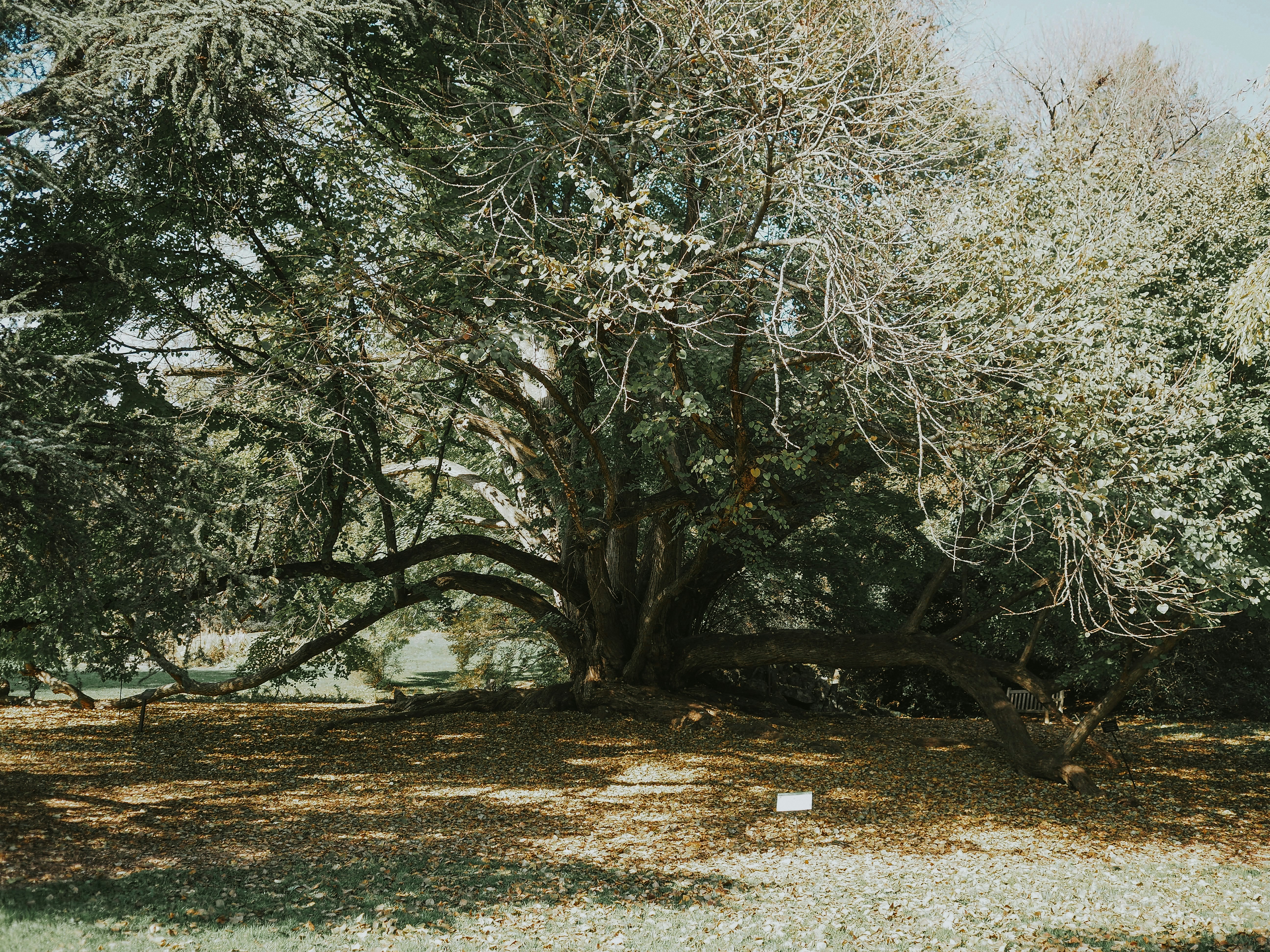 Photo by fieldworkframes