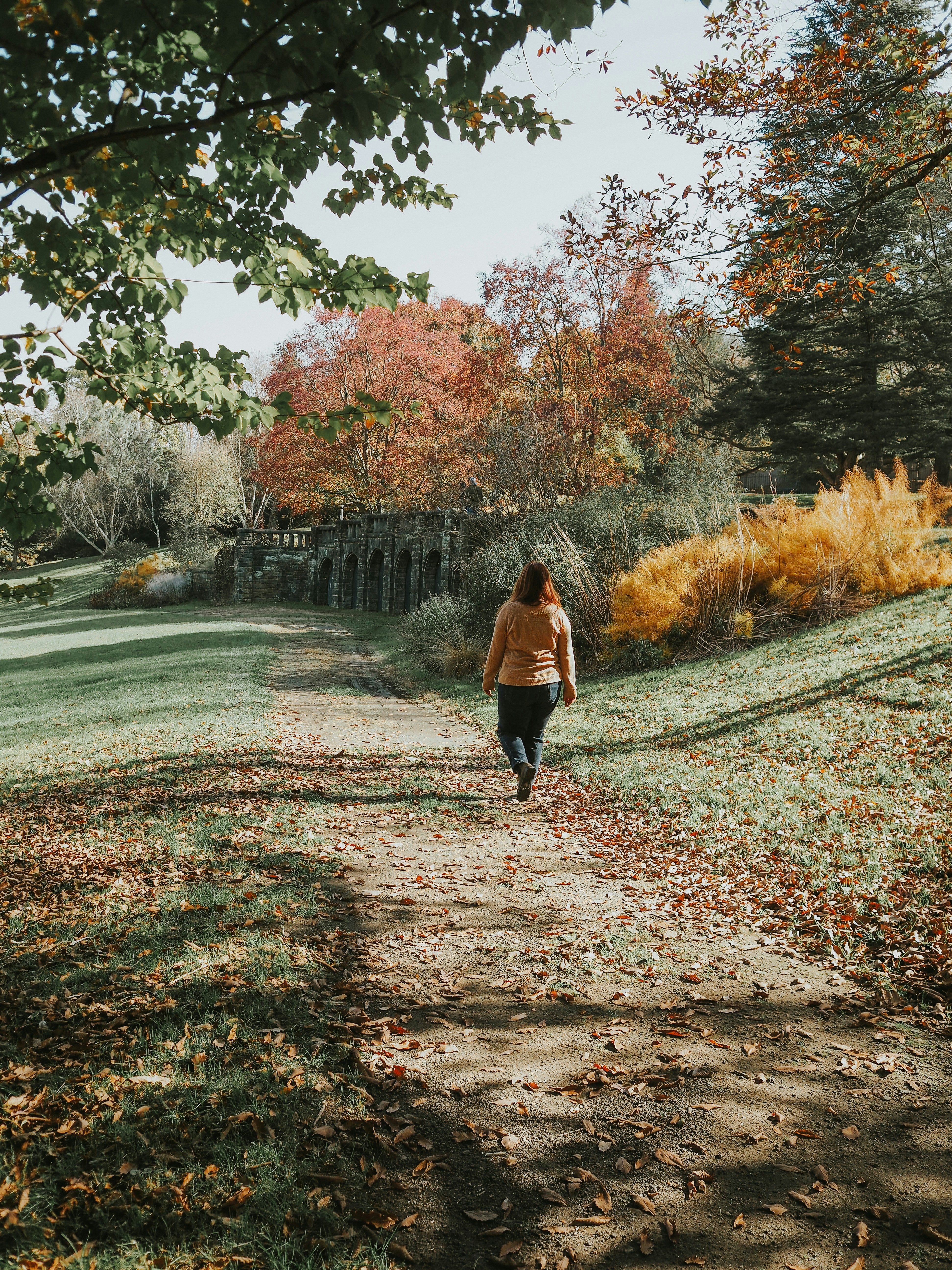 Photo by fieldworkframes