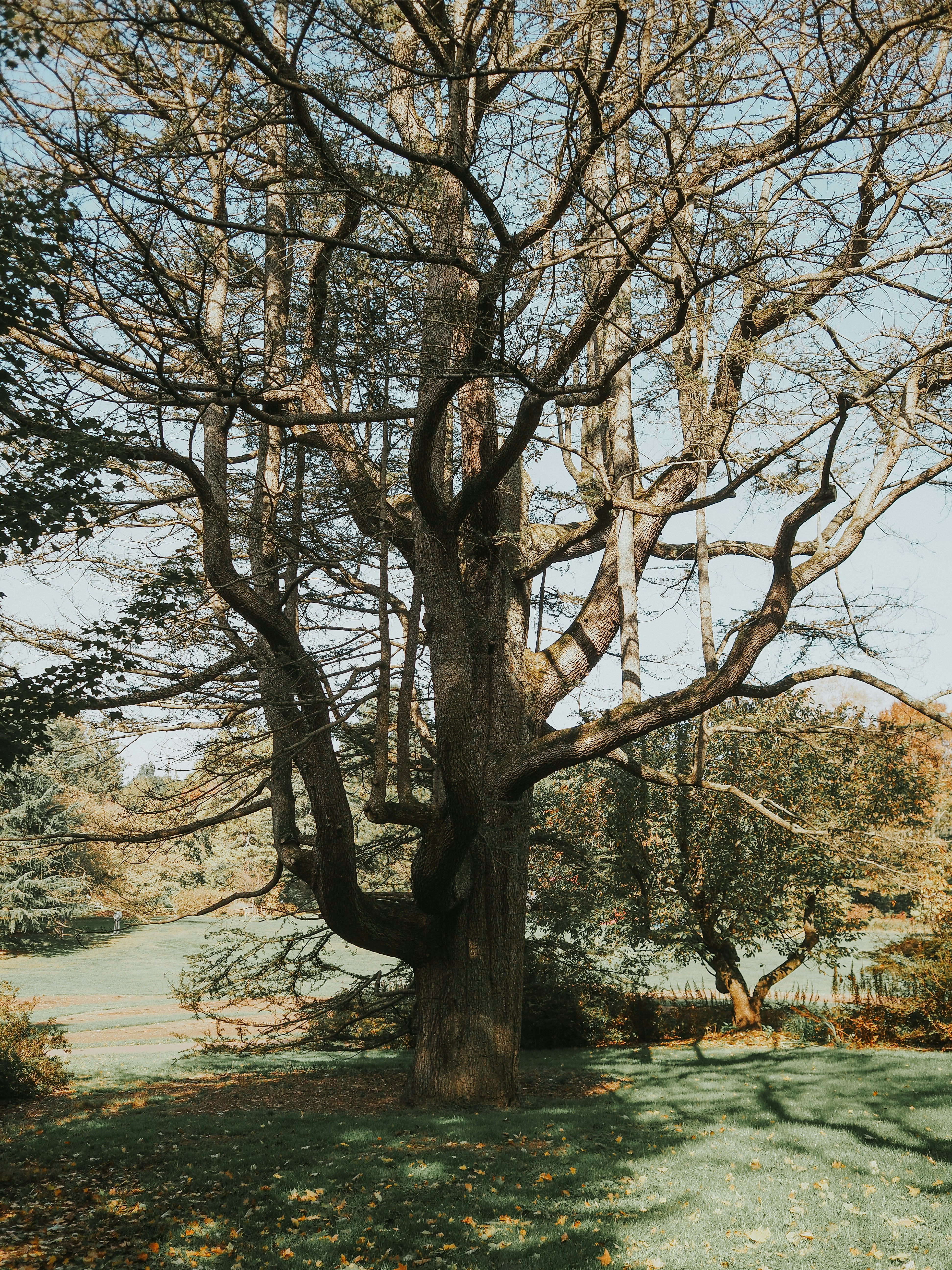 Photo by fieldworkframes