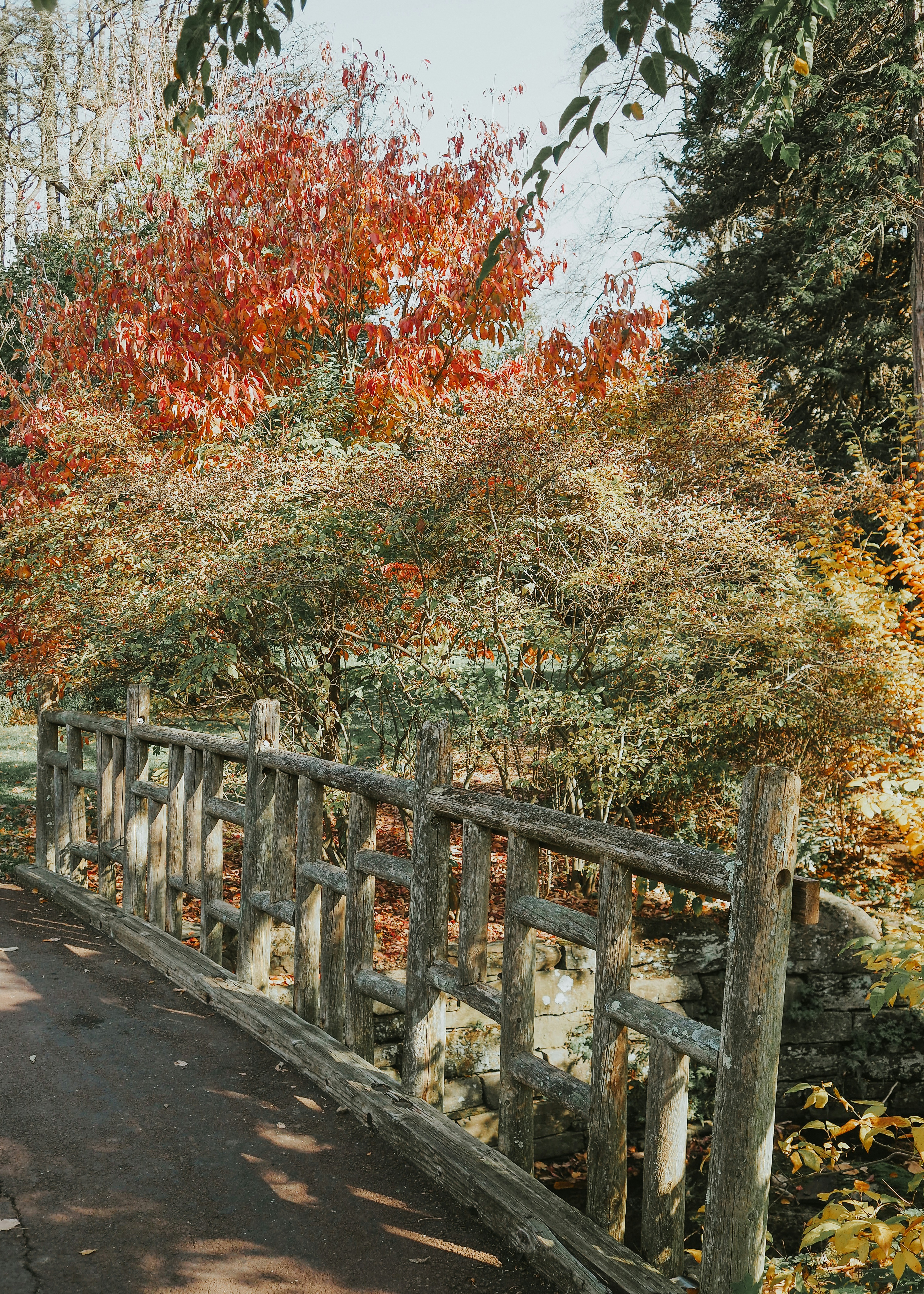 Photo by fieldworkframes