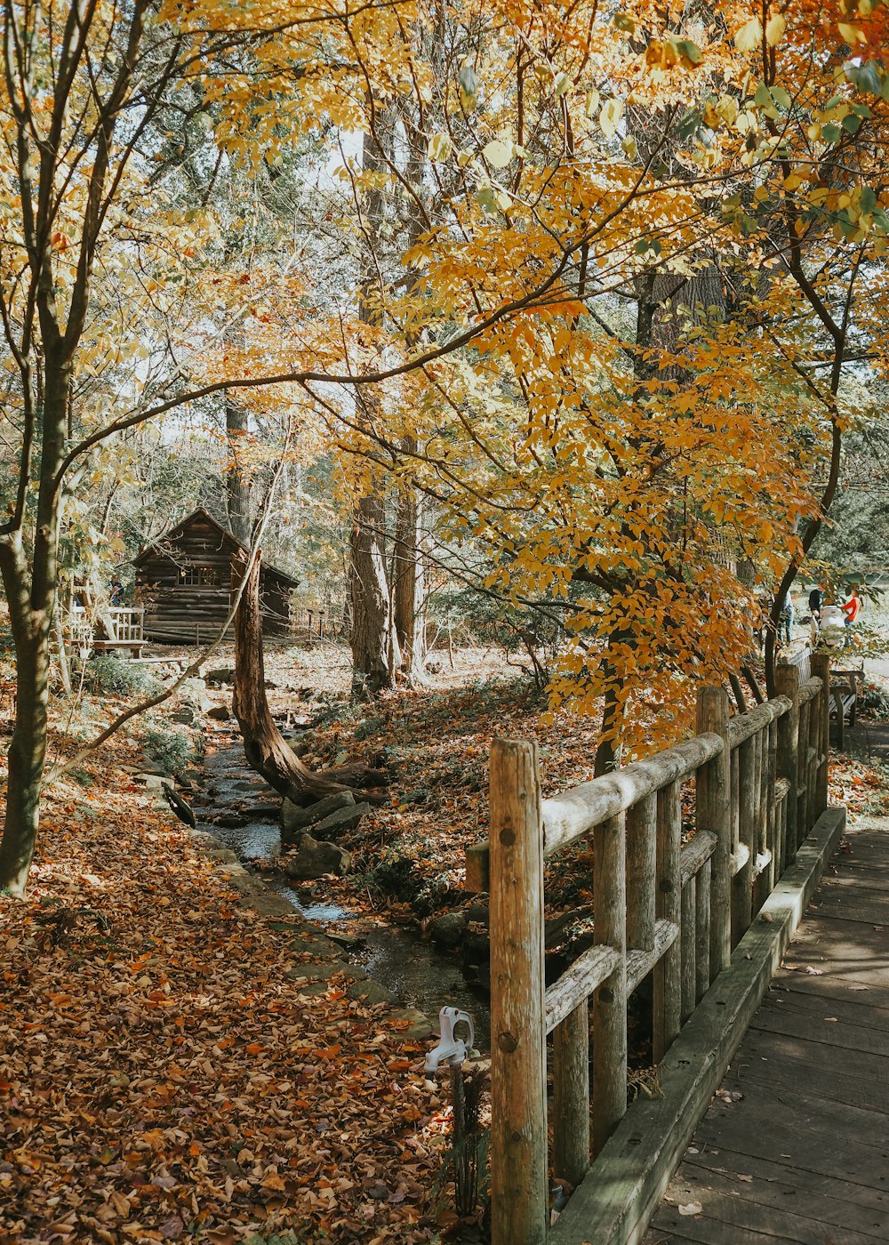 a wooden bridge over a creek surrounded by trees
