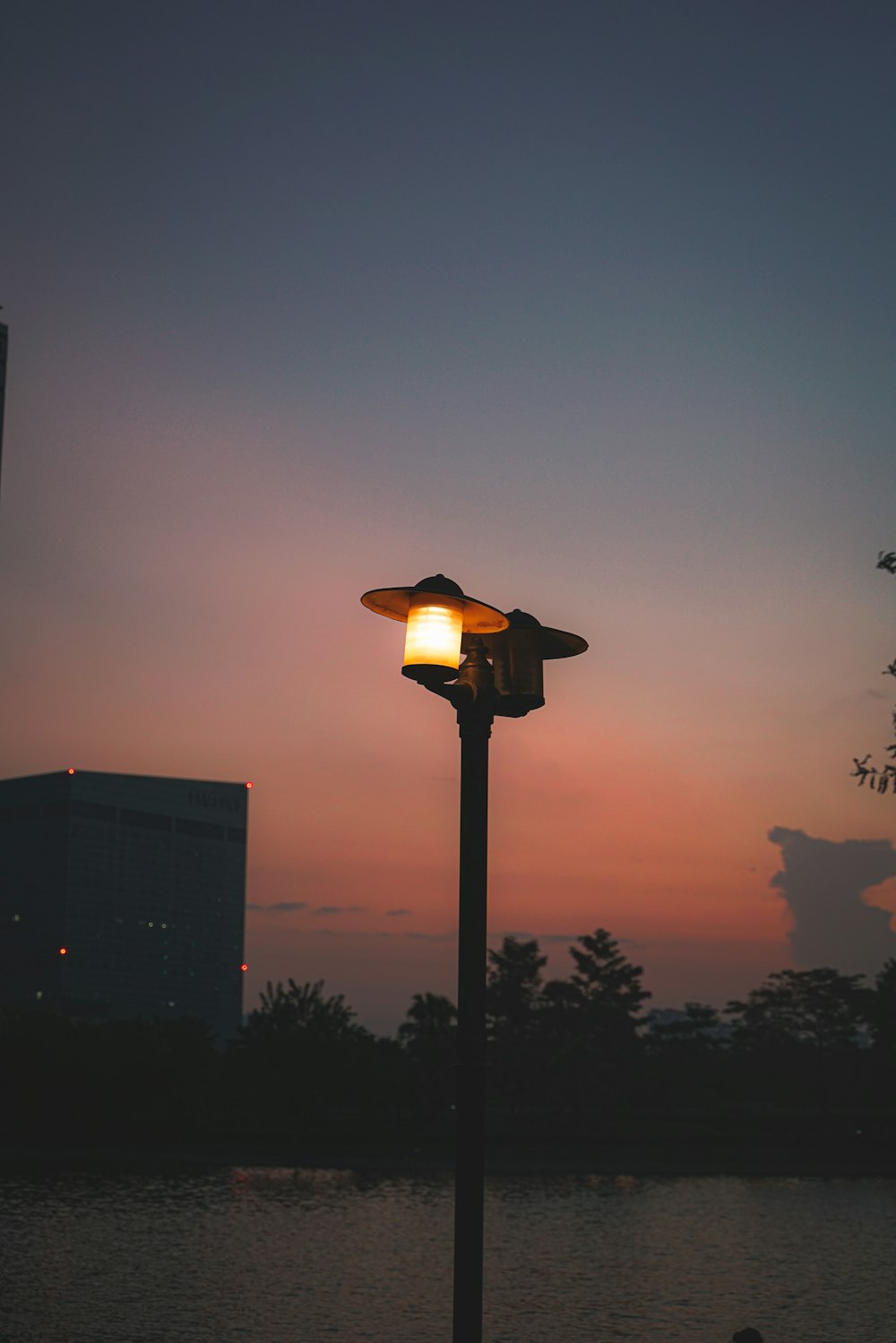 a street light sitting next to a body of water