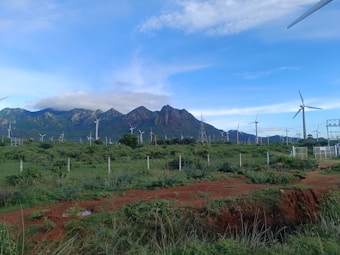 A landscape featuring numerous wind turbines spread across a green field, with a mountain range in the background under a partly cloudy blue sky. Vegetation and a dirt path are visible in the foreground, enclosed by a fence.