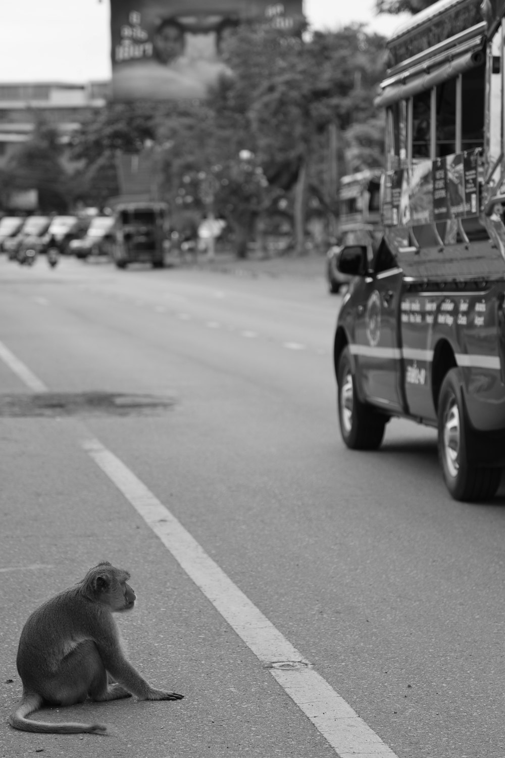 a monkey sitting on the side of a road next to a bus