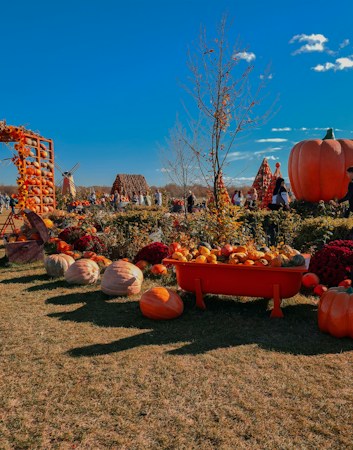 A festive outdoor setting featuring numerous pumpkins of various sizes and colors, positioned on grassy terrain. A large orange pumpkin decorates the scene, accompanied by a traditional windmill in the background. People are visible, enjoying the fall-themed atmosphere. A wooden arch adorned with sunflowers frames the edge, and a bathtub filled with assorted small squash and gourds adds to the harvest ambience.