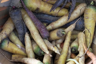 A collection of multicolored carrots, including purple and yellow varieties, are piled together. The carrots have a rustic appearance with visible dirt and tangled roots, suggesting they are freshly harvested.