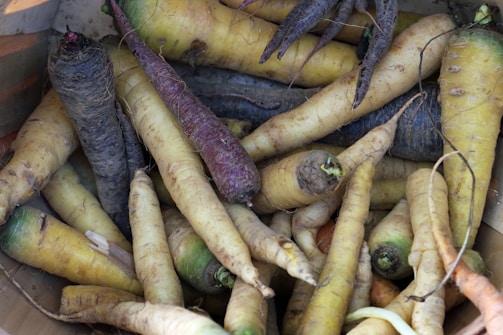 A collection of multicolored carrots, including purple and yellow varieties, are piled together. The carrots have a rustic appearance with visible dirt and tangled roots, suggesting they are freshly harvested.