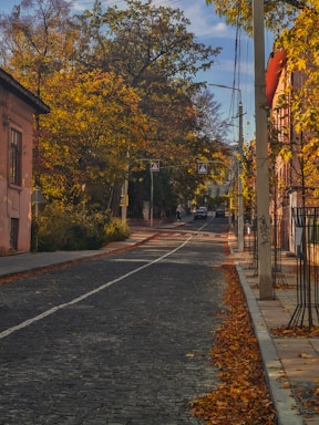 A warm, sunlit Lisbon street with golden autumn leaves gently falling.