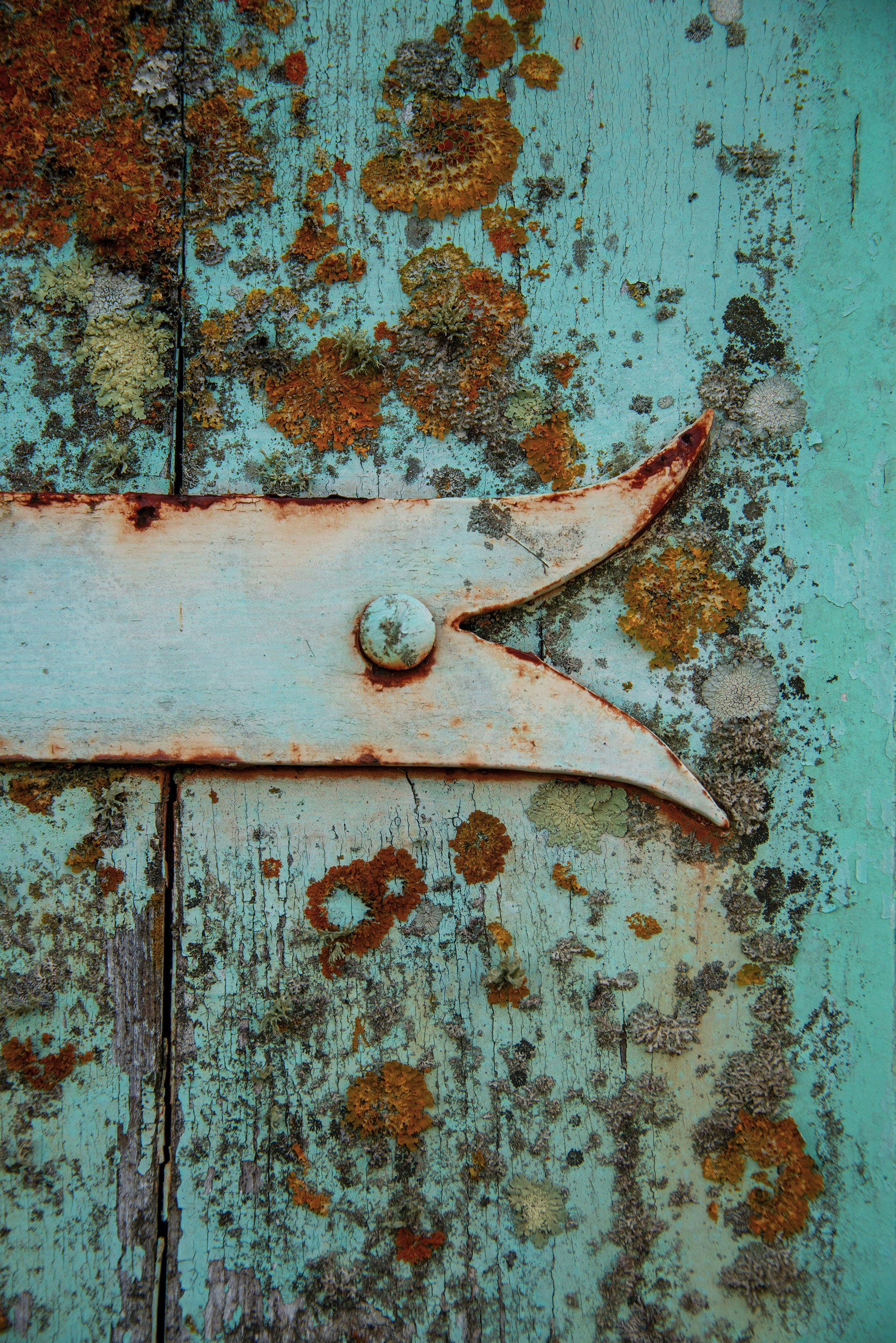a rusted metal handle on an old door