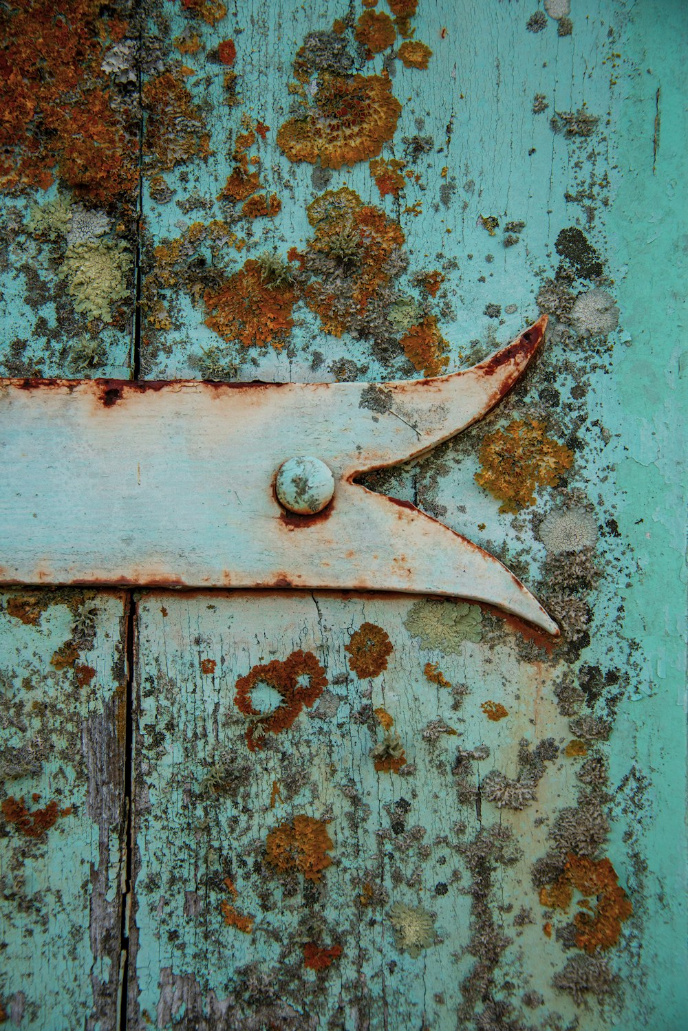 a rusted metal handle on an old door