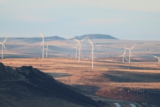 a bunch of windmills in a field with mountains in the background
