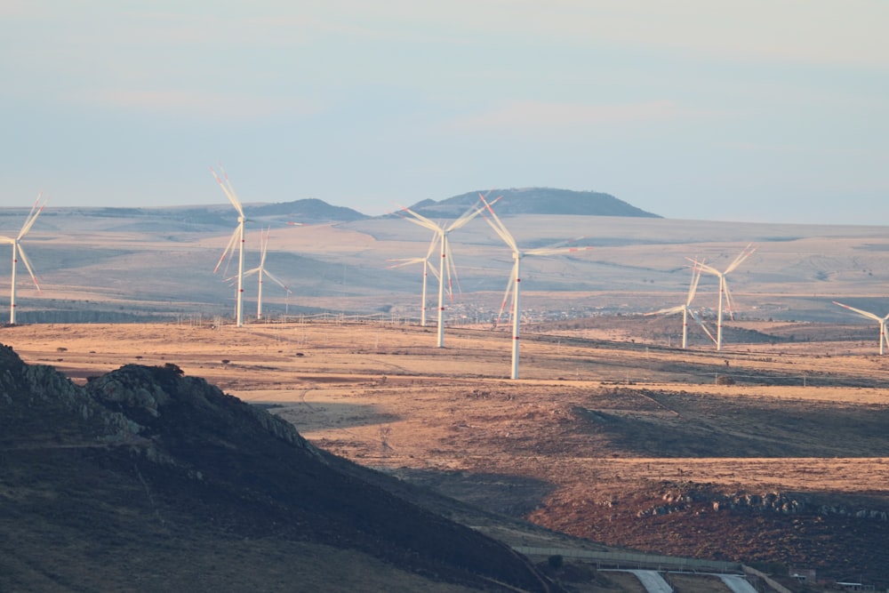 a bunch of windmills in a field with mountains in the background