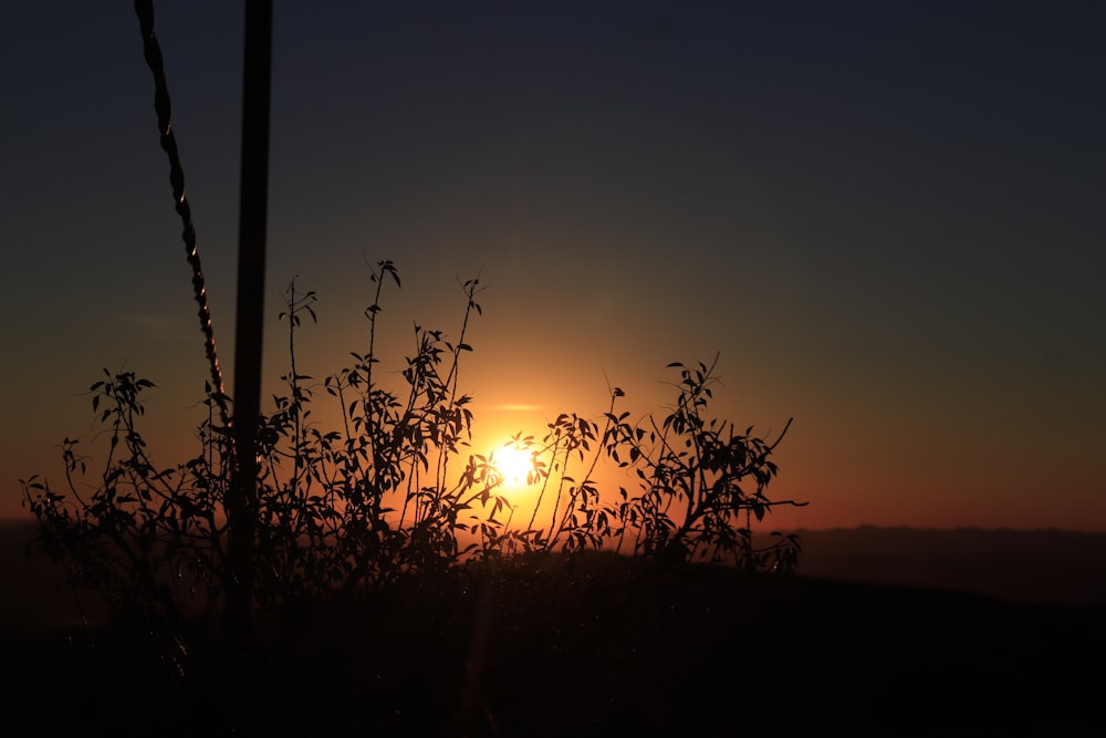 the sun is setting over the horizon of a field