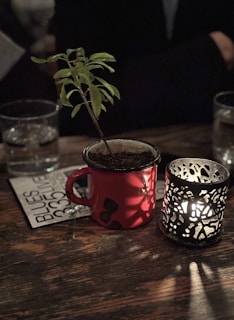 Close-up of a muted gold-accented mug resting on a wooden table beside a small olive green plant
