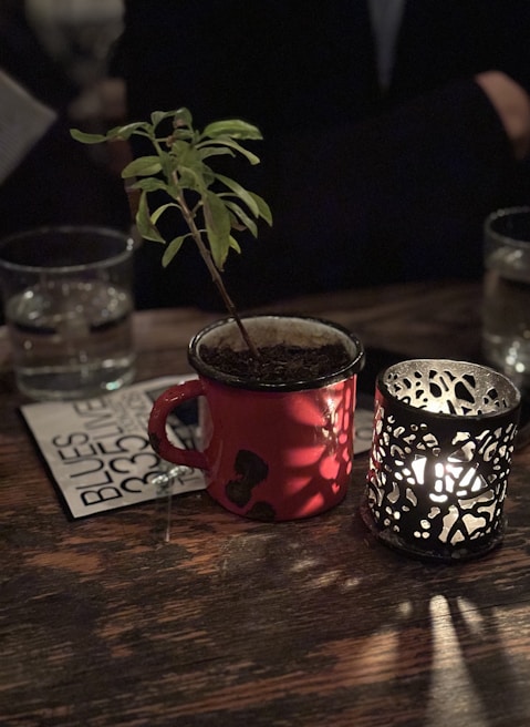 Close-up of a muted gold-accented mug resting on a wooden table beside a small olive green plant