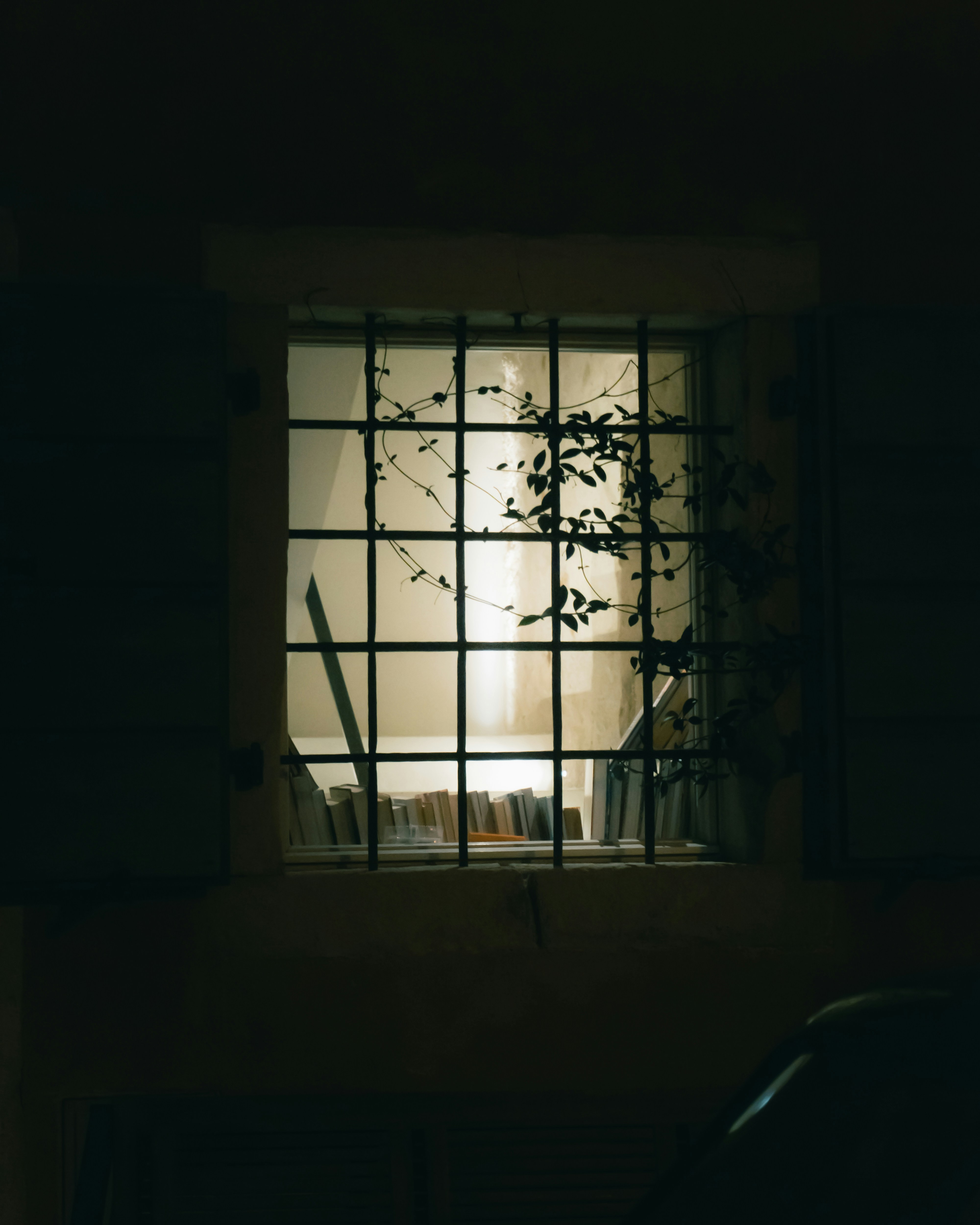 Photo by puskas_dominik