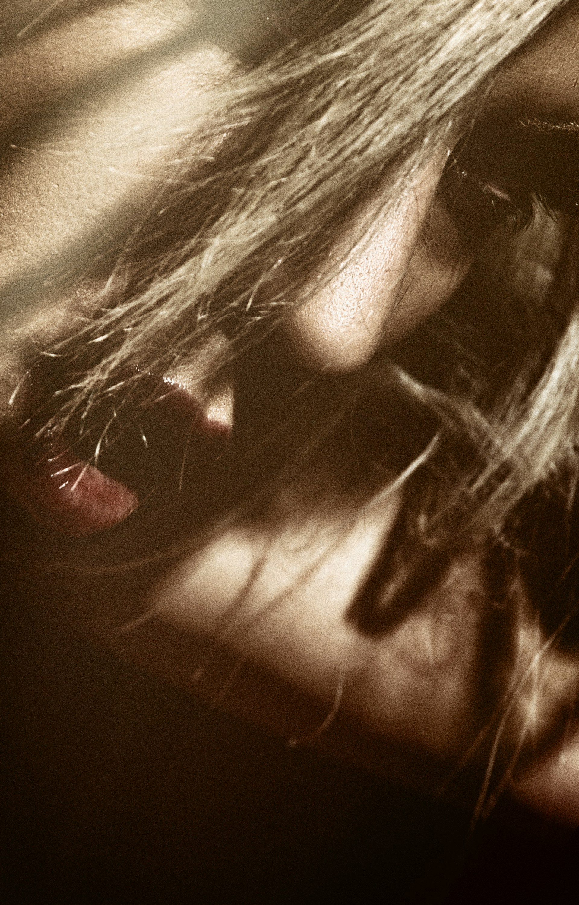 A sultry close-up shot capturing intimate details with soft, warm lighting that highlights the mood.