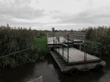 A wooden platform or dock is situated over a body of water, surrounded by dense reeds and greenery. The sky is overcast with thick gray clouds, suggesting a tranquil and somewhat somber atmosphere.