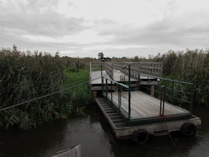 A wooden platform or dock is situated over a body of water, surrounded by dense reeds and greenery. The sky is overcast with thick gray clouds, suggesting a tranquil and somewhat somber atmosphere.