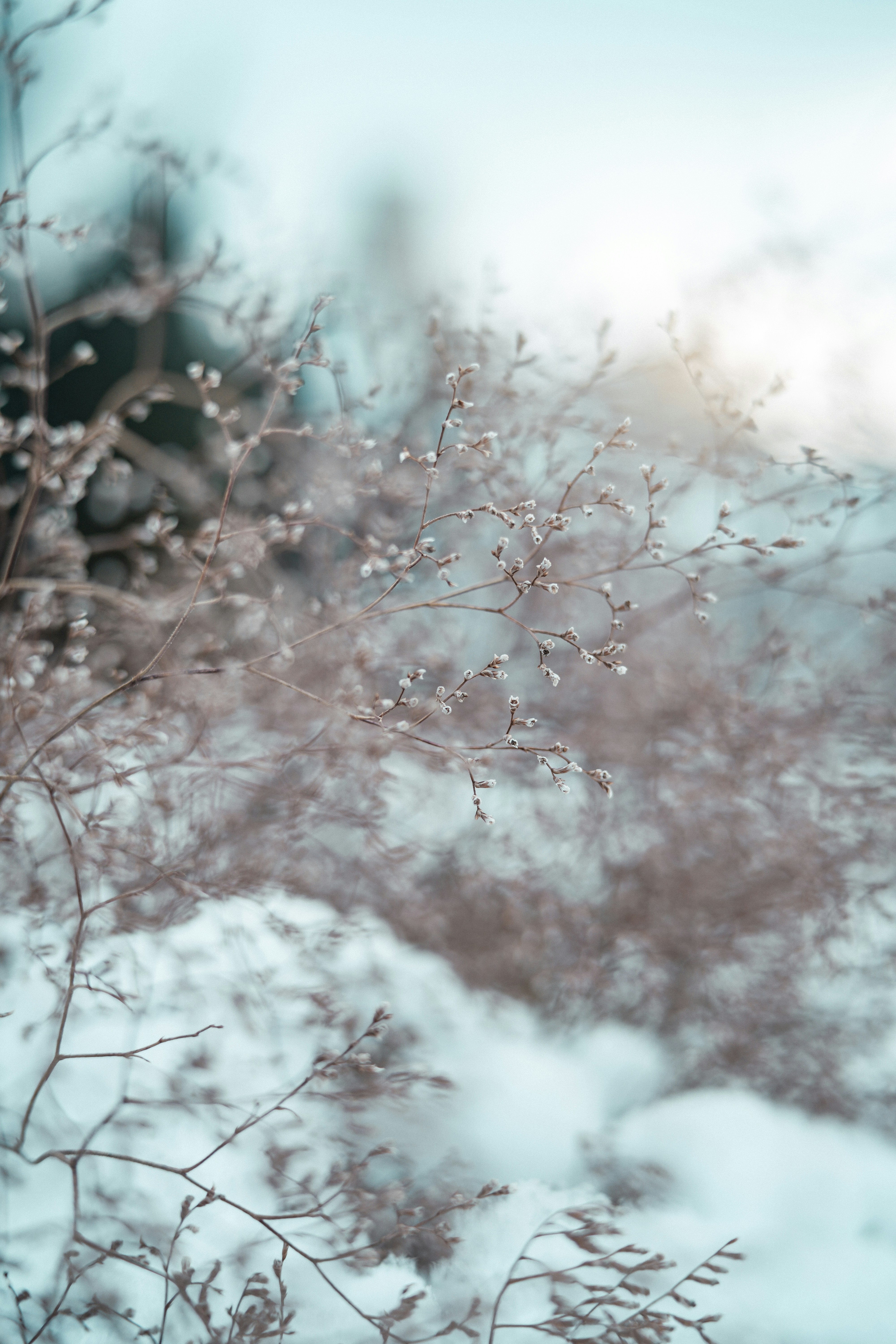 Photo by anamnesis33