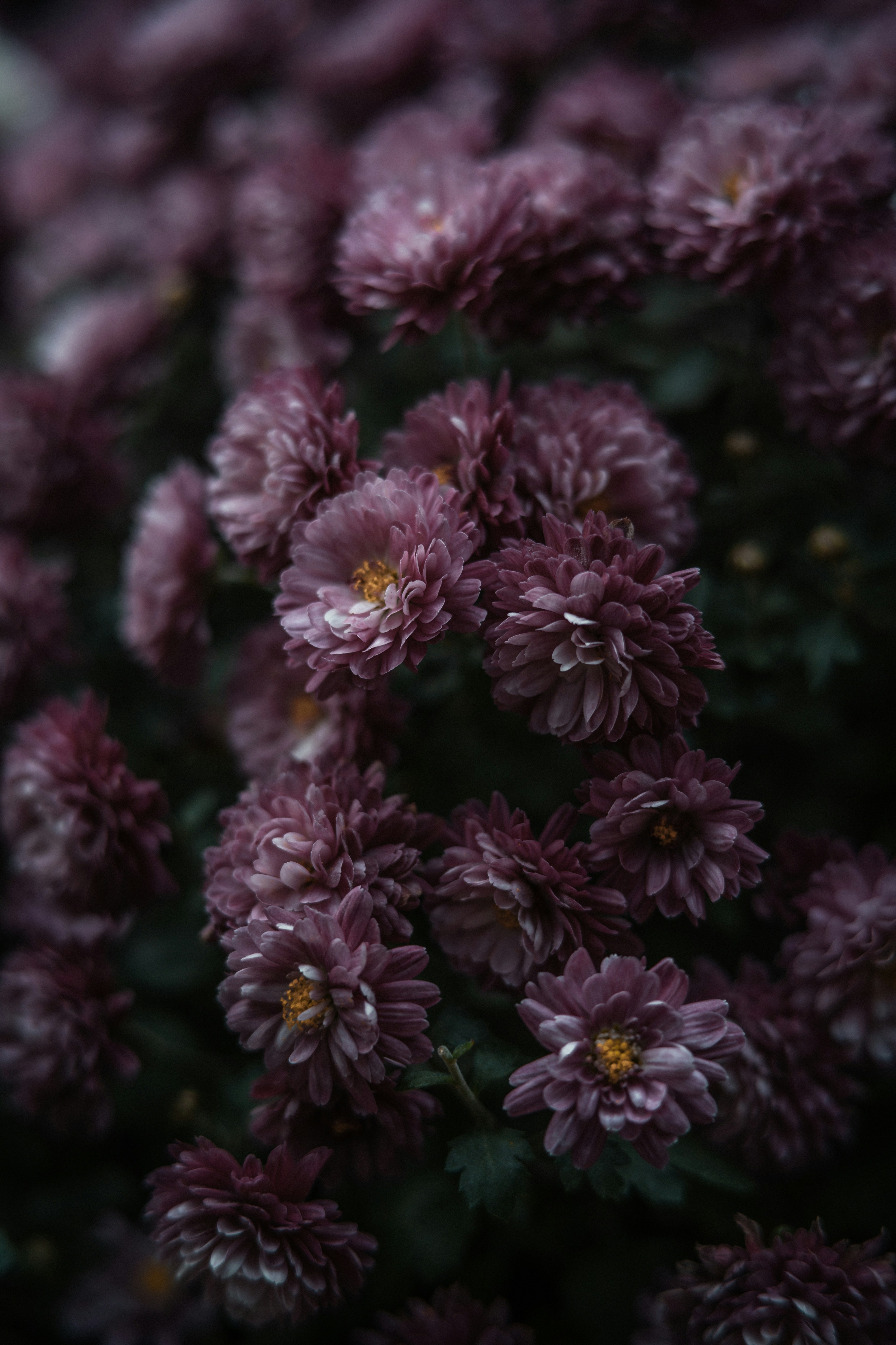 Photo by anamnesis33