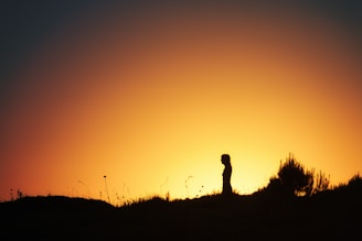 A serene scene of a person quietly watching a sunset from a peaceful hilltop.