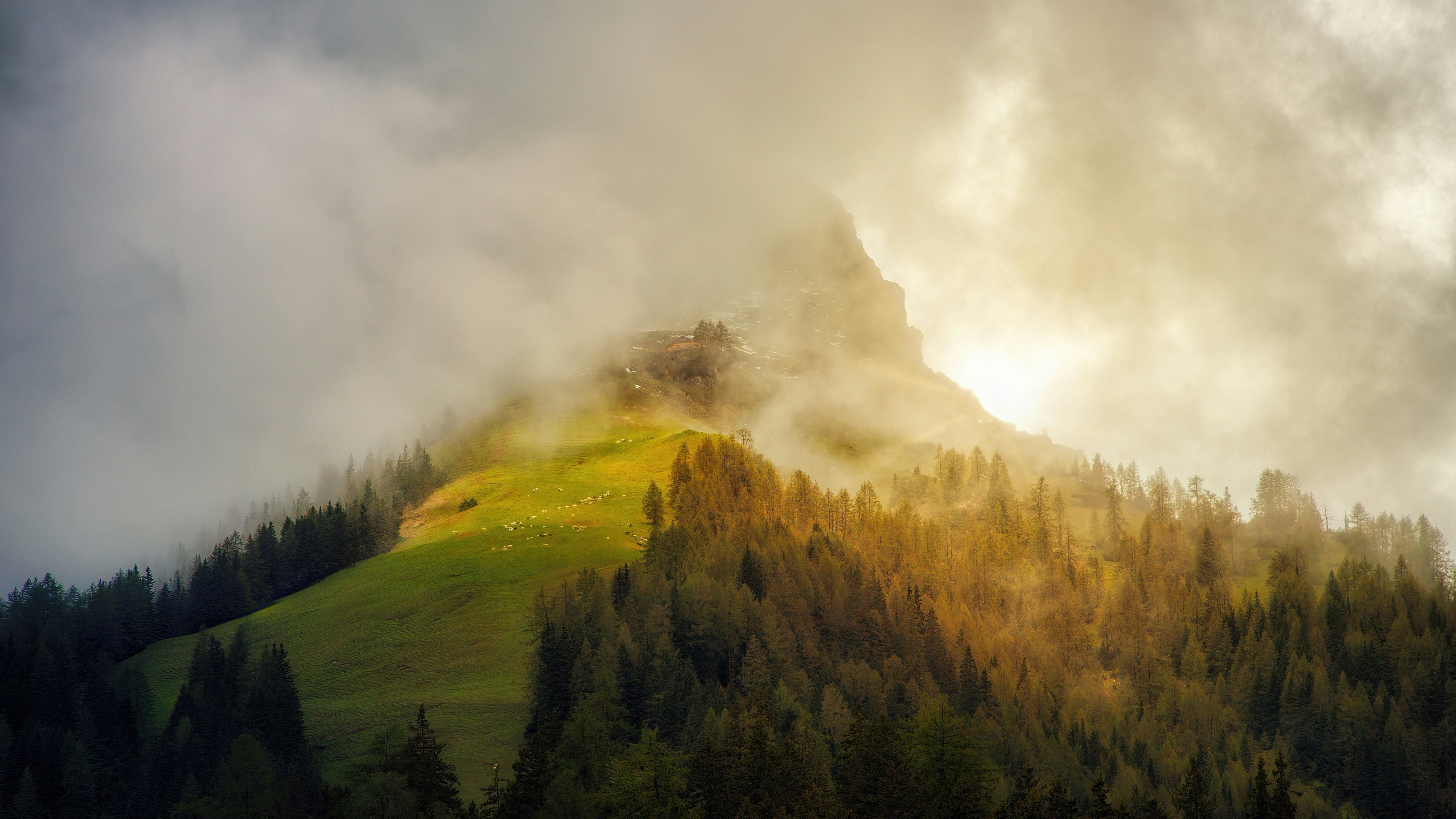 a mountain covered in clouds and trees on a cloudy day
