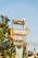 A tall signpost with multiple rectangular signs pointing in different directions, indicating locations such as 'Boardwalk,' 'Motiongate Dubai,' and 'Neon Galaxy Indoor Entertainment.' The signpost is surrounded by foliage, with a clear blue sky in the background.