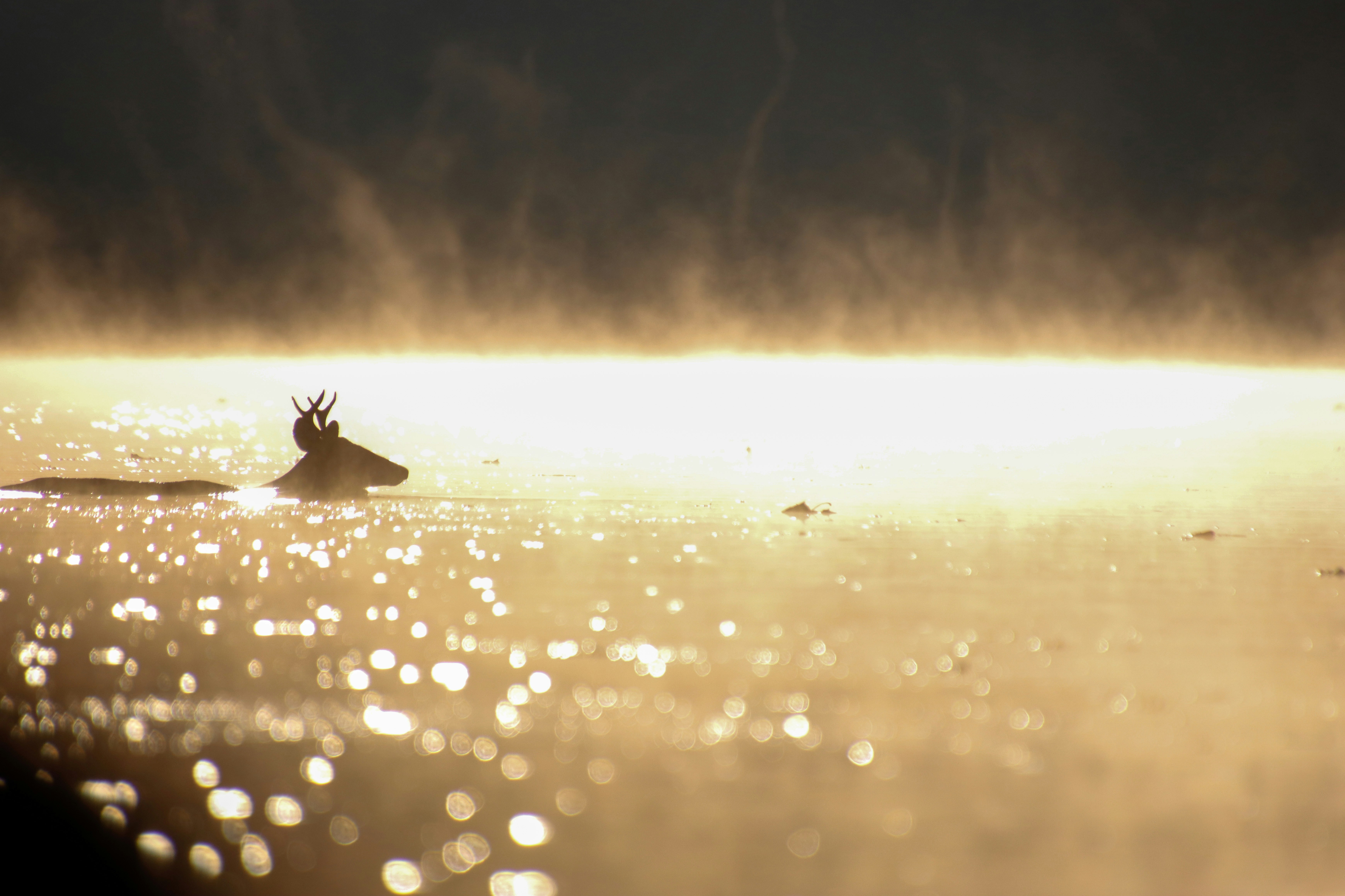 Photo by alla_kemelmakher