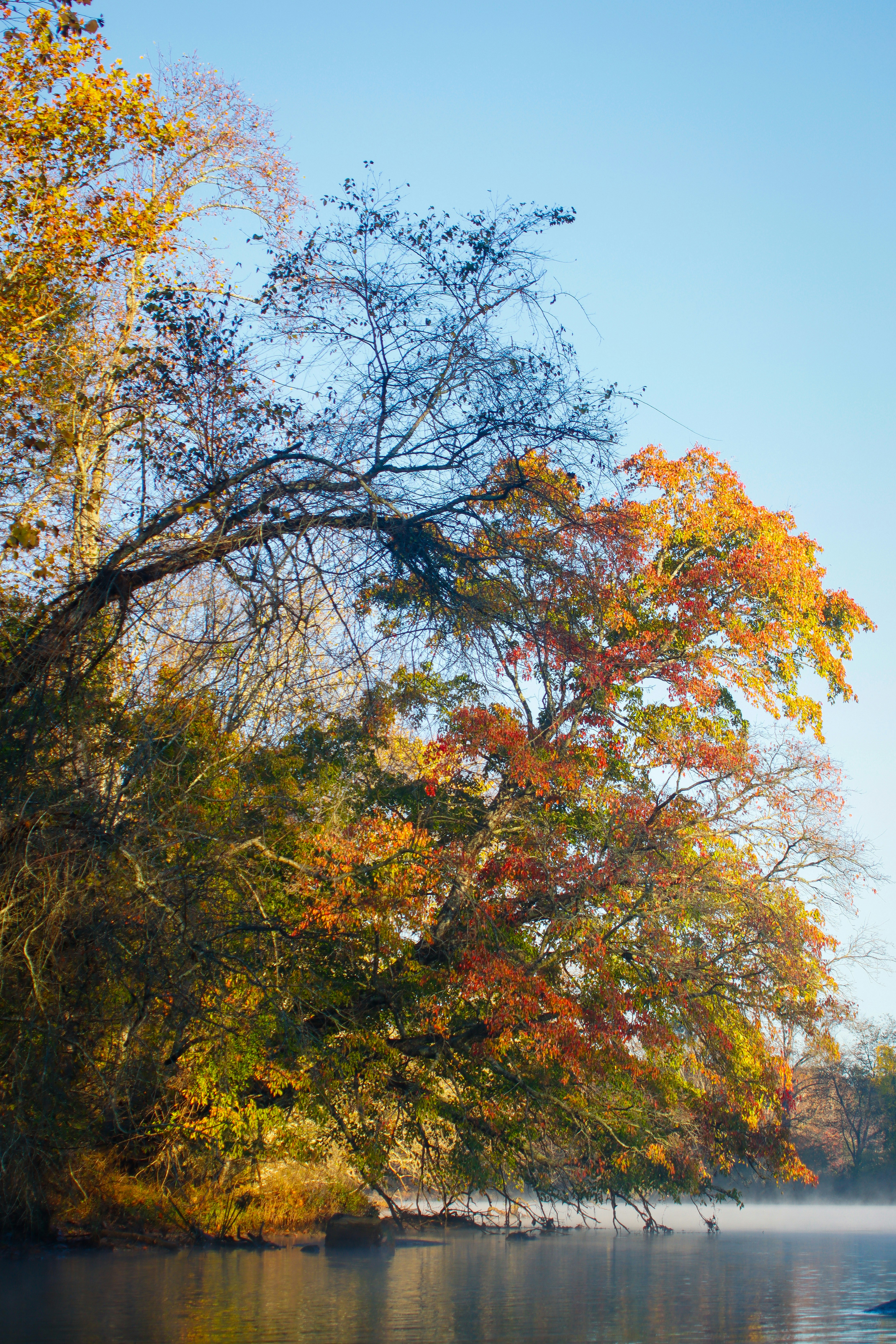 Photo by alla_kemelmakher