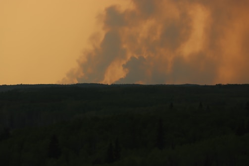 A field photo showing dense wildfire smoke drifting over a forested landscape at sunset.