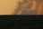 A forested landscape with dense greenery on the foreground, contrasted by a large plume of dark smoke rising dramatically into the sky, which is cast in a warm, orange hue due to the setting or rising sun.