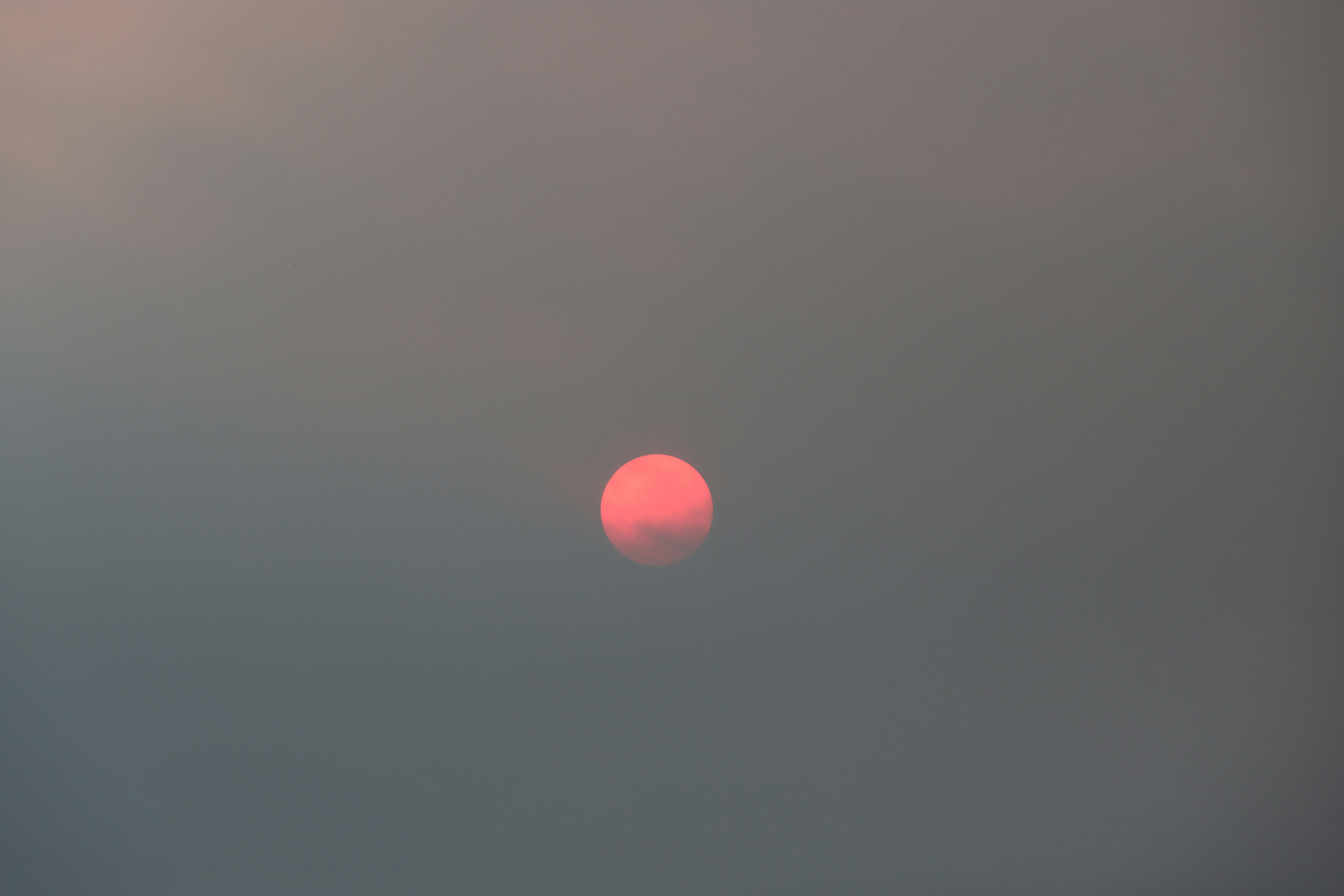 Photo by izzyatthelookout