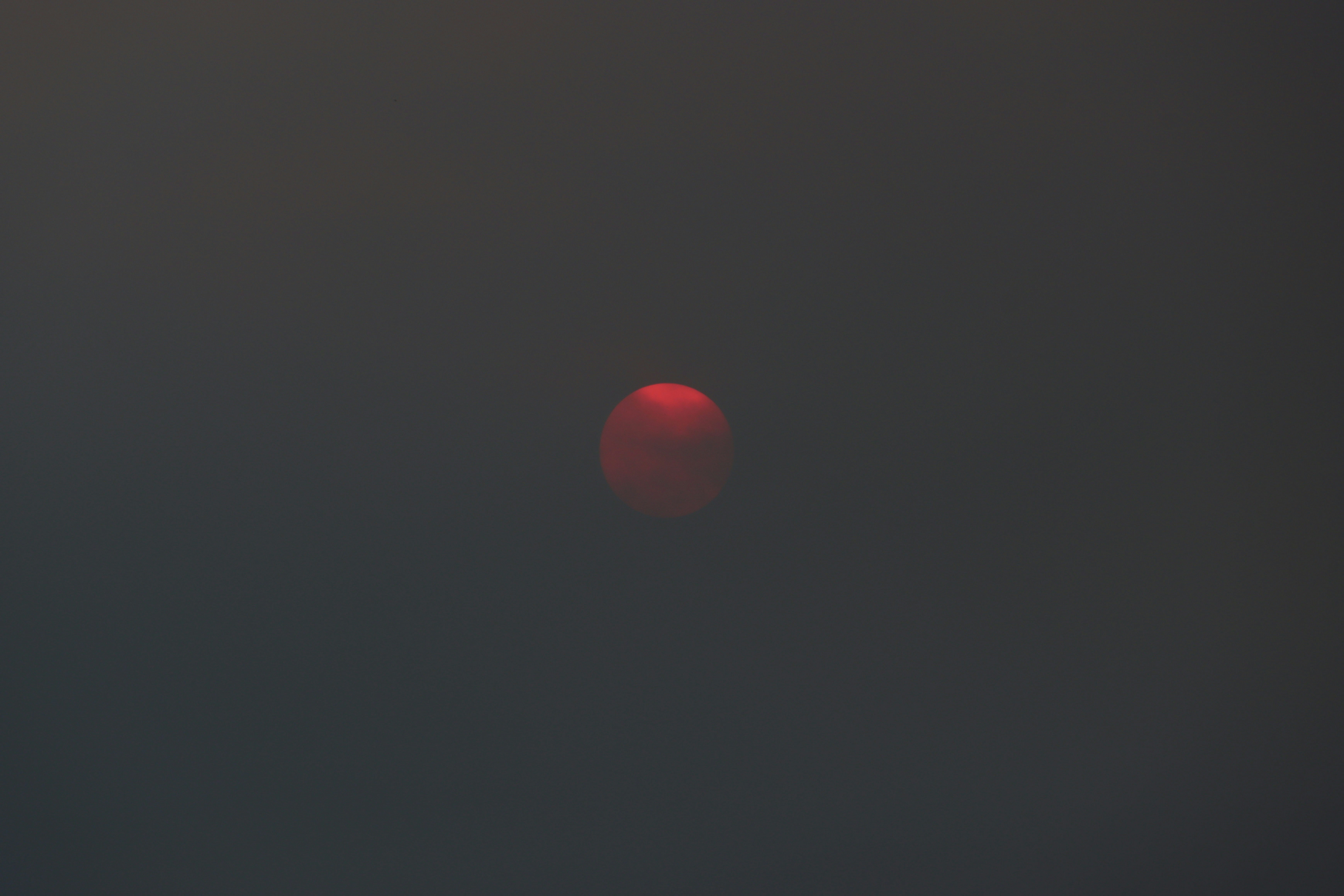 Photo by izzyatthelookout