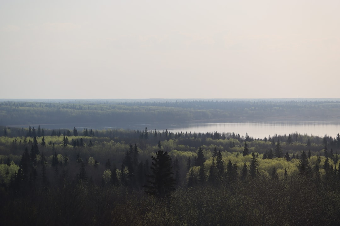 a large body of water surrounded by trees,