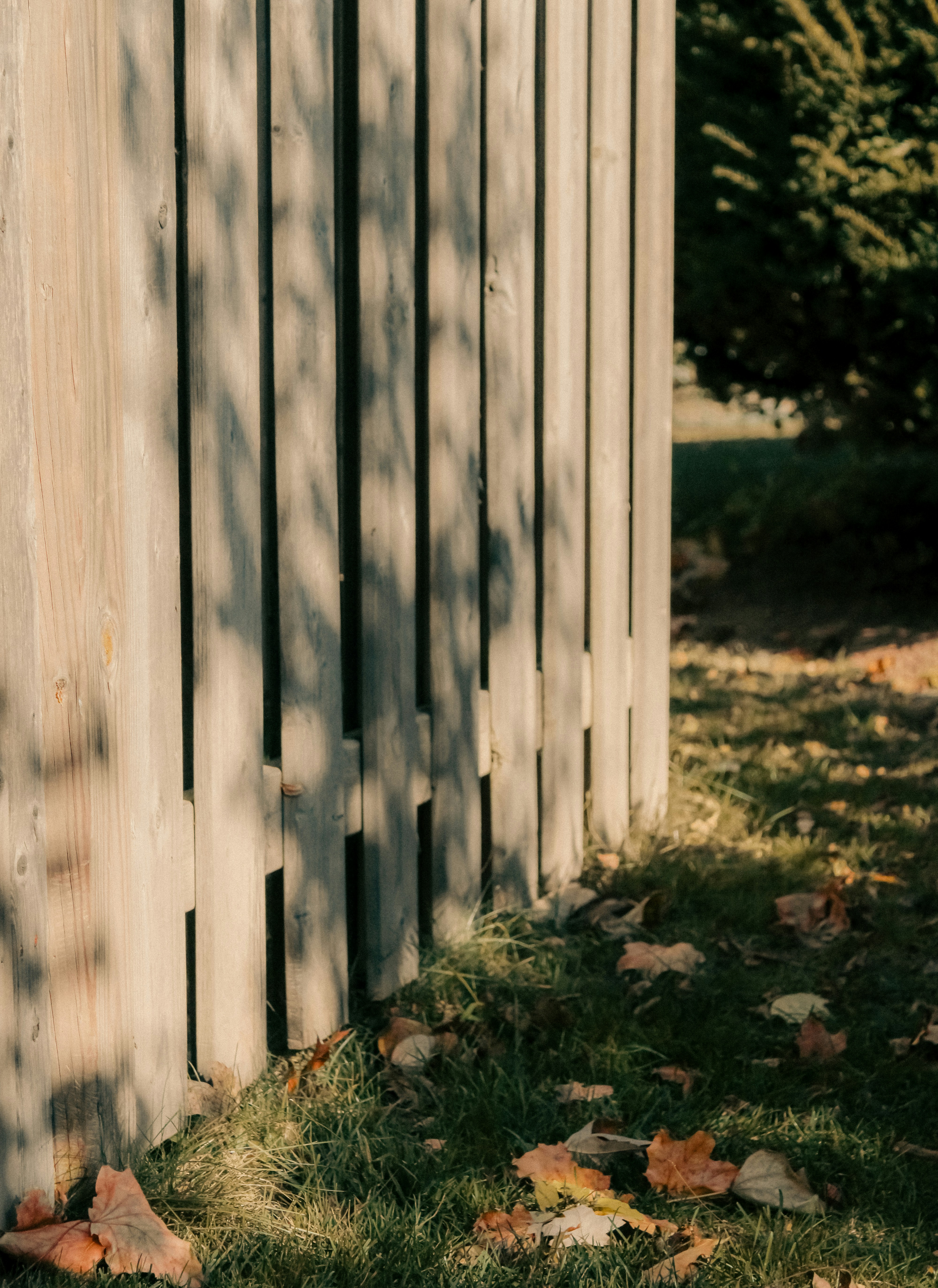 Photo by linusbelanger